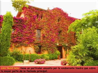 CAN TRAVI NOU  tiene un particular encanto por la exuberante hiedra que cubre la mayor parte de la fachada principal.