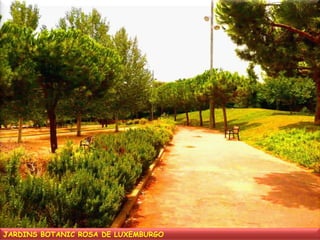 JARDINS BOTANIC ROSA DE LUXEMBURGO