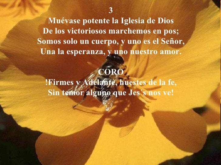 Firmes Y Adelante