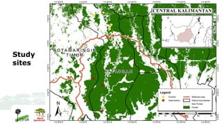 REDD+ project and its impact on HH agriculture and forest revenues in Indonesian Borneo: Preliminary findings