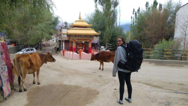 תמונות מלקחות וואן האוס 72