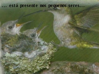 ... está presente nos pequenos seres... 