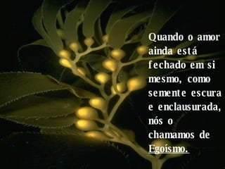 Quando o amor ainda está fechado em si mesmo, como semente escura e enclausurada, nós o chamamos de  Egoísmo. 