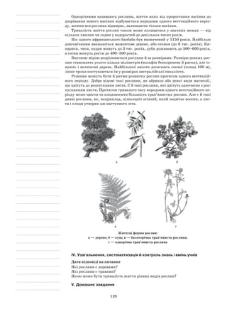 120
Однорічними називають рослини, життя яких від проростання насіння до
дозрівання нового насіння відбувається впродовж одного вегетаційного періо-
ду, восени вся рослина відмирає, залишаючи тільки насіння.
Тривалість життя рослин також може коливатися у значних межах — від
кількох хвилин чи годин у водоростей до декількох тисяч років.
Вік одного африканського баобаба був визначений у 5150 років. Найбільш
довговічними вважаються мамонтове дерево, або секвоя (до 6 тис. років). Ки-
париси, тиси, кедри живуть до 3 тис. років, дуби доживають до 500–600 років,
а сосни можуть рости до 400–500 років.
Значною мірою розрізняються рослини й за розмірами. Розміри деяких рос-
лин становлять усього кілька міліметрів (вольфія безкоренева й ряска), але іс-
нують і величезні дерева. Найбільшої висоти досягають секвої (понад 100 м),
лише трохи поступаються їм у розмірах австралійські евкаліпти.
Різними можуть бути й ритми розвитку рослин протягом одного вегетацій-
ного періоду. Добре відомі такі рослини, як абрикос або деякі види магнолії,
що цвітуть до розпускання листя. Є й такі рослини, які цвітуть одночасно з роз-
пусканням листя. Протягом тривалого часу впродовж одного вегетаційного пе-
ріоду може цвісти та плодоносити більшість трав’янистих рослин. Але є й такі
дивні рослини, як, наприклад, пізньоцвіт осінній, який зацвітає восени, а лис-
тя і плоди утворює аж наступного літа.
а б
в г
Життєві форми рослин:
а — дерево; б — кущ; в — багаторічна трав’яниста рослина;
г — однорічна трав’яниста рослина
IV. Узагальнення, систематизація й контроль знань і вмінь учнів
Дати відповіді на питання
Які рослини є деревами?
Які рослини є травами?
Якою може бути тривалість життя різних видів рослин?
V. Домашнє завдання
 