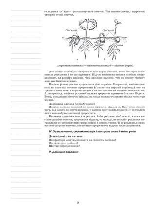 58
складених сім’ядоль і розташовується зачаток. Він починає рости, і проросток
утворює перші листки.
Сім’ядолі Сім’ядолі
а б
Проростання насіння: а — наземне (квасоля); б — підземне (горох)
Для посіву необхідно вибирати тільки гарне насіння. Воно має бути вели-
ким за розмірами й не ушкодженим. Під час висівання насіння глибина посіву
залежить від розміру насінин. Чим дрібніше насіння, тим на меншу глибину
воно має бути висаджено.
Насіння різних рослин проростає в різні терміни. Наприклад, насіння ква-
солі та пшениці починає проростати (з’являється перший корінець) уже на
третій-п’ятий день, а перший листок з’являється вже на десятий-дванадцятий.
А, наприклад, насіння фінікової пальми проростає протягом близько 90 днів.
Тому, посадивши кісточку фініка, на сходи можна очікувати тільки через три
місяці.
Дозрівання насіння (період спокою)
Дозріле насіння зазвичай не може прорости відразу ж. Протягом різного
часу, від одного до шести місяців, у насінні протікають процеси, у результаті
яких воно набуває здатності проростати.
Це явище дуже важливе для рослин. Якби рослини, особливо ті, в яких на-
сіння дозріває восени, проростали відразу, то молоді, не зміцнілі рослинки по-
трапляли б у несприятливі суворі осінні й зимові умови. Ті ж рослини, в яких
насіння дозріває навесні, найчастіше проростають відразу після дозрівання.
IV. Узагальнення, систематизація й контроль знань і вмінь учнів
Дати відповіді на питання
Які фактори можуть впливати на схожість насіння?
Як проростає насіння?
Що таке період спокою?
V. Домашнє завдання
 