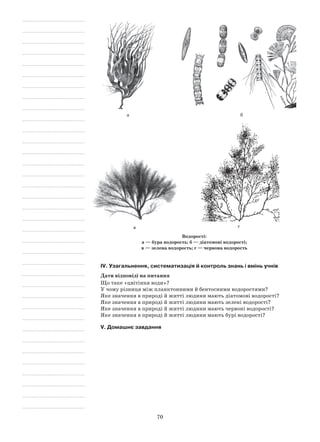 70
а б
в г
Водорості:
а — бура водорость; б — діатомові водорості;
в — зелена водорость; г — червона водорость
IV. Узагальнення, систематизація й контроль знань і вмінь учнів
Дати відповіді на питання
Що таке «цвітіння води»?
У чому різниця між планктонними й бентосними водоростями?
Яке значення в природі й житті людини мають діатомові водорості?
Яке значення в природі й житті людини мають зелені водорості?
Яке значення в природі й житті людини мають червоні водорості?
Яке значення в природі й житті людини мають бурі водорості?
V. Домашнє завдання
 