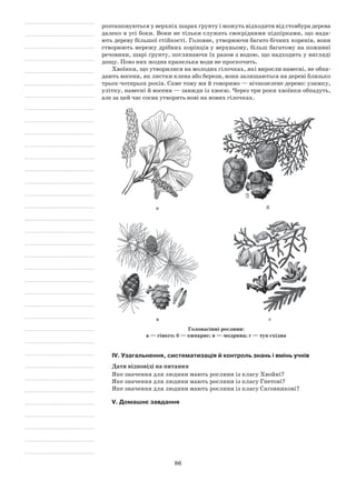 86
розташовуються у верхніх шарах ґрунту і можуть відходити від стовбура дерева
далеко в усі боки. Вони не тільки служать своєрідними підпірками, що нада-
ють дереву більшої стійкості. Головне, утворюючи багато бічних коренів, вони
створюють мережу дрібних корінців у верхньому, більш багатому на поживні
речовини, шарі ґрунту, поглинаючи їх разом з водою, що надходить у вигляді
дощу. Повз них жодна крапелька води не проскочить.
Хвоїнки, що утворилися на молодих гілочках, які виросли навесні, не обпа-
дають восени, як листки клена або берези, вони залишаються на дереві близько
трьох-чотирьох років. Саме тому ми й говоримо — вічнозелене дерево: узимку,
улітку, навесні й восени — завжди із хвоєю. Через три роки хвоїнки обпадуть,
але за цей час сосна утворить нові на нових гілочках.
а б
в г
Голонасінні рослини:
а — гінкго; б — кипарис; в — модрина; г — туя східна
IV. Узагальнення, систематизація й контроль знань і вмінь учнів
Дати відповіді на питання
Яке значення для людини мають рослини із класу Хвойні?
Яке значення для людини мають рослини із класу Гнетові?
Яке значення для людини мають рослини із класу Саговникові?
V. Домашнє завдання
 
