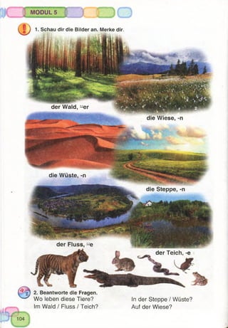 1. Schau dir die Bilder an. Merke dir,
der Wald, =^er
die Wiese, -n
die Wüste, -n
die Steppe, -n
der Fluss, -e
der Teich, -e
2. Beantworte die Fragen.
^ Wo leben diese Tiere?
Im Wald / Fluss / Teich?
In der Steppe / Wüste?
Auf der Wiese?
5 | MODUL 5
 