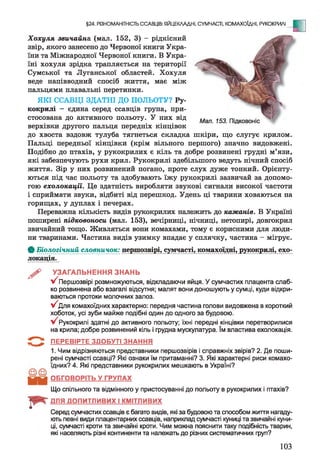 §24. РІЗНОМАНІТНІСТЬ ССАВЦІВ: ЯЙЦЕКЛАДНІ, СУМЧАСТІ, КОМАХОЇДНІ, РУКОКРИЛІ
- Е
Мал. 153. Підковоніс
Хохуля звичайна, (мал. 152, 3) - рідкісний
звір, якого занесено до Червоної книги Укра­
їни та Міжнародної Червоної книги. В Укра­
їні хохуля зрідка трапляється на території
Сумської та Луганської областей. Хохуля
веде напівводний спосіб життя, має між
пальцями плавальні перетинки.
ЯКІ ССАВЦІ ЗДАТНІ ДО ПОЛЬОТУ? Ру­
кокрилі - єдина серед ссавців група, при­
стосована до активного польоту. У них від
верхівки другого пальця передніх кінцівок
до хвоста вздовж тулуба тягнеться складка шкіри, що слугує крилом.
Пальці передньої кінцівки (крім вільного першого) значно видовжені.
Подібно до птахів, у рукокрилих є кіль та добре розвинені грудні м’язи,
які забезпечують рухи крил. Рукокрилі здебільшого ведуть нічний спосіб
життя. Зір у них розвинений погано, проте слух дуже тонкий. Орієнту­
ються під час польоту та здобувають їжу рукокрилі зазвичай за допомо­
гою ехолокації. Це здатність виробляти звукові сигнали високої частоти
і сприймати звуки, відбиті від перешкод. Удень ці тварини ховаються на
горищах, у дуплах і печерах.
Переважна кількість видів рукокрилих належить до кажанів. В Україні
поширені підковоноси (мал. 153), вечірниці, нічниці, нетопирі, довгокрил
звичайний тощо. Живляться вони комахами, тому є корисними для люди­
ни тваринами. Частина видів узимку впадає у сплячку, частина - мігрує.
Ф Біологічний словничок: першозвірі, сумчасті, комахоїдні,рукокрилі, ехо­
локація.
УЗАГАЛЬНЕННЯ ЗНАНЬ
у/ Першозвірі розмножуються, відкладаючи яйця. У сумчастих плацента слаб­
ко розвинена або взагалі відсутня; малят вони доношують у сумці, куди відкри­
ваються протоки молочних залоз.
У^Для комахоїдних характерно: передня частина голови видовжена в короткий
хоботок, усі зуби майже подібні один до одного за будовою.
Рукокрилі здатні до активного польоту; їхні передні кінцівки перетворилися
на крила; добре розвинений кіль і грудна мускулатура. їм властива ехолокація.
5 " ^ ПЕРЕВІРТЕ ЗДОБУТІ ЗНАННЯ
1. Чим відрізняються представники першозвірів і справжніх звірів? 2. Де поши­
рені сумчасті ссавці? Які ознаки їм притаманні? 3. Які характерні риси комахо­
їдних? 4. Які представники рукокрилих мешкають в Україні?
ОБГОВОРІТЬ У ГРУПАХ
Що спільного та відмінного у пристосуванні до польоту в рукокрилих і птахів?
ДЛЯ ДОПИТЛИВИХ І КМІТЛИВИХ
Серед сумчастих ссавців є багато видів, які за будовою та способом життя нагаду­
ють певні види плацентарних ссавців, наприклад сумчасті куниці та звичайні куни­
ці, сумчасті кроти та звичайні кроти. Чим можна пояснити таку подібність тварин,
які населяють різні континенти та належать до різних систематичних груп?
103
 