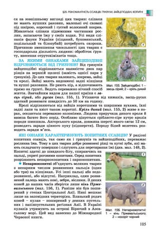ся на зовнішньому вигляді цих тварин: сліпаки
не мають вушних раковин, маленькі очі сховані
під шкірою, короткий і густий волосяний покрив.
Живляться сліпаки підземними частинами рос­
лин, запасаючи їжу у своїх ходах. Усі види слі­
паків фауни України (піщаний, буковинський,
подільський та білозубий) потребують охорони.
Причиною зменшення чисельності цих тварин є
господарська діяльність людини: обробіток ґрун­
ту, внесення отрутохімікатів тощо.
ЗА ЯКИМИ ОЗНАКАМИ ЗАЙЦЕПОДІБНІ
ВІДРІЗНЯЮТЬСЯ ВІД ГРИЗУНІВ? Від гризунів
зайцеподібні відрізняються наявністю двох пар
різців на верхній щелепі (замість однієї пари у
гризунів). До цих тварин належать, зокрема, зайці
та кролі. Зайці мають видовжені задні кінцівки
та вушні раковини. Не риють нір, а відпочивають
прямо на ґрунті. Ведуть переважно нічний спосіб
життя. Звичайним видом для нашої країни є за­
єць сірий, або русак (мал. 155, 1). Утікаючи від хижаків, заєць-русак
здатний розвивати швидкість до 50 км на годину.
Кролі відрізняються від зайців коротшими та ширшими вухами, їхні
задні лапи та хвіст також коротші. Кріль дикий (мал. 155, 2) живе в но­
рах, оселяється переважно колоніями. Людина приручила дикого кроля й
вивела багато його порід. Особливо цінується сріблясто-сіре хутро кролів
породи шиншила. Ангорського кроля, довжина шерсті якого сягає 12 см,
розводять заради цінного пуху (підшерстя). Породу білий велетень роз­
водять заради м’яса.
ЯКІ ОЗНАКИ ХАРАКТЕРИЗУЮТЬ КОПИТНИХ ССАВЦІВ? У раціоні
копитних ссавців, так само як і гризунів та зайцеподібних, переважає
рослинна їжа. Тому в цих тварин добре розвинені різці та кутні зуби, які ма­
ють складчасту поверхню і слугують для перетирання їжі (див. мал. 148, 2).
Копитні здатні до швидкого бігу, спираючись на
пальці, укриті роговими копитами. Серед копитних
розрізняють непарнокопитних і парнокопитних.
* Непарнокопитні об’єднують великих тварин
з непарним числом розвинених пальців (один
або три) на кінцівках. Усі інші пальці або недо­
розвинені, або відсутні. Наприклад, один розви­
нений палець мають коні, зебри, віслюки. З диких
коней до наших часів зберігся лише кінь Прже-
вальського (мал. 156, 1). Раніше він був поши­
рений у степах Центральної Азії. Нині мешкає
лише на заповідних територіях. Близький родич
коней —кулан —поширений у деяких пустель­
них і напівпустельних регіонах Азії. В Україні
куланів утримують на острові Бірючий в Азов- Мал 156 непарнокопитні:
ському морі. Цей вид занесено до Міжнародної 1 - кінь Пржевальського;
Червоної книги. 2- носоріг чорний
§25. РІЗНОМАНІТНІСТЬ ССАВЦІВ: ГРИЗУНИ, ЗАЙЦЕПОДІБНІ, КОПИТНІ
105
 