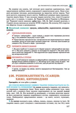 На відміну від оленів, чиї кісткові роги щорічно замінюються, інші
представники жуйних мають порожнисті нерозгалужені роги. Вони утво­
рені роговими чохлами, розташованими на виростах кісток черепа. Такі
роги ростуть упродовж усього життя. Найбільші розміри серед порожнис­
торогих мають бики. У цих сильних тварин могутнє тіло, товсті й короткі
роги, які є і в самців, і в самок. До Червоної книги України та Міжнарод­
ної Червоної книги занесено зубра (мал. 158, 3). Цей лісовий велетень в
Україні вільно мешкав до початку XVIII сторіччя. На початку XX сторіччя
він зберігся тільки в заповідниках.
ф Біологічний словничок: гризуни, зайцеподібні, парнокопитні, непарно-
копитні.
§26. РІЗНОМАНІТНІСТЬ ССАВЦІВ: ХИЖІ, КИТОПОДІБНІ ^
УЗАГАЛЬНЕННЯ ЗНАНЬ
Гризуни і зайцеподібні - групи ссавців, у раціоні яких переважає рослинна
їжа: у них розвинені лише різці та кутні зуби.
у/ Представники парнокопитних і непарнокопитних характеризуються такими
ознаками: пальці на ногах укриті роговим покриттям - копитом; пристосовані до
швидкого бігу; більшість видів - рослиноїдні.
ПЕРЕВІРТЕ ЗДОБУТІ ЗНАННЯ
1. Які риси подібності та відмінності в будові гризунів і зайцеподібних вам відо­
мі? 2. Яка роль гризунів у природі та господарстві людини? 3. Які риси прита­
манні копитним тваринам? 4. Чим відрізняються представники парнокопитних
від непарнокопитних?
ОБГОВОРІТЬ У ГРУПАХ
1. Як спосіб живлення гризунів та зайцеподібних позначився на особливостях
будови їхнього зубного апарату? 2. Які органи чуття: зору, слуху чи нюху - ма­
ють бути найкраще розвинені в копитних, щоб рятуватися від ворогів?
ДЛЯ ДОПИТЛИВИХ І КМІТЛИВИХ
У кролів, на відміну від зайців, малята народжуються безпорадними. Чим це
можна пояснити?
§26. РІЗНОМАНІТНІСТЬ ССАВЦІВ:
ХИЖІ, КИТОПОДІБНІ
Пригадайте, які типи зубів є у ссавців.
ЯК СПОСІБ ЖИВЛЕННЯ ХИЖИХ ТВАРИН ПОЗНАЧАЄТЬСЯ НА ЇХ­
НІЙ БУДОВІ ТА ПОВЕДІНЦІ? До хижих належать тварини, які живлять­
ся переважно тваринною їжею. Вони мають добре розвинені ікла, один
кутній зуб з кожного боку щелепи перетворився на так званий хижий
(див. мал. 148, 3). Він великий за розмірами, з гострим ріжучим краєм:
за його допомогою тварини подрібнюють кістки, перерізають сухожилки
тощо. Найвідоміші представники хижих - це вовчі, котячі, куницеві,
ведмежі.
• До вовчих належать вовк, собака, песець, шакал, лисиця та інші. Ці
тварини мають довгі кінцівки з невтяжними кігтями; під час бігу вони
107
 