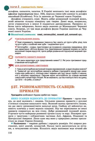 дельфіни, кашалоти, косатки. В Україні мешкають такі види дельфінів:
афаліна чорноморська (мал. 163), морська свиня (або азовка) та дельфін
звичайний (білобочка). Усіх їх занесено до Червоної книги України.
Дельфіни утворюють зграї. Мають добре розвинений головний мозок,
який визначає складну поведінку цих тварин. Деякі види, наприклад,
легко утримуються в неволі й піддаються дресируванню. Промисел зу­
батих китів заборонено, багато видів занесено до Міжнародної Червоної
книги. Зокрема, усі три види дельфінів фауни України занесено до Чер­
воної книги України.
Ф Біологічний словничок: хижі, китоподібні, хижий зуб, китовий вус.
УЗАГАЛЬНЕННЯ ЗНАНЬ
у/ Хижі споживають переважно тваринну їжу; мають усі групи зубів: різці, ікла
та кутні зуби; є особливі хижі зуби - видозмінені кутні.
V Китоподібні - ссавці, пристосовані до існування у водному середовищі. Для
них характерно: обтічна форма тіла; перетворення передніх кінцівок на ласти;
волосяний покрив відсутній, проте добре розвинений підшкірний жировий про­
шарок.
5 * ^ ПЕРЕВІРТЕ ЗДОБУТІ ЗНАННЯ
1. Які риси характерні для представників хижих? 2. Які риси притаманні пред­
ставникам китоподібних?
ДЛЯ ДОПИТЛИВИХ І КМІТЛИВИХ
1. Чому в китоподібних волосяний покрив нерозвинений, а задні кінцівки зникли?
2. Тривалий час китоподібних вважали рибами (пригадайте відомі вам казки:
«чудо-юдо риба-кит»), оскільки зовні тварини цих груп дещо подібні й мешка­
ють у водному середовищі. Першим відніс китоподібних до ссавців великий
шведський учений Карл Лінней. Як ви вважаєте, що наштовхнуло його на думку,
що кити - не риби, а ссавці?
ТЕМП 1________________
§27. РІЗНОМАНІТНІСТЬ ССАВЦІВ:
ПРИМАТИ
Пригадайте особливості будови хребетних тварин.
ЯКИХ ССАВЦІВ ВІДНОСЯТЬ ДО ПРИМАТІВ? Примати - група ссав­
ців, до якої належить і людина. Спільною ознакою приматів є рухливі
п’ятипалі кінцівки хапального типу. Великий палець протистоїть іншим,
що дає змогу урізноманітнити хапальні рухи. Свободу дії забезпечує на­
явність ключиць у поясі верхніх кінцівок. Під час пересування по землі
примати спираються на всю стопу. Добре розвинений головний мозок.
З органів чуття найкраще розвинені органи слуху та зору. Поширені при­
мати у тропічних і субтропічних частинах Азії, Африки, Південної та
Центральної Америки. Лише один вид мавп у природних умовах трапля­
ється на півдні Європи (Іспанія).
• Напівмавпи - тварини дрібних і середніх розмірів. Очі широко роз­
ставлені, хвіст довгий, пухнастий. Пальці часто закінчуються не нігтя­
ми, а гачкуватими кігтями. Більшість видів напівмавп веде нічний або
110
 