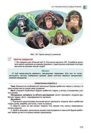 § 27. РІЗНОМАНІТНІСТЬ ССАВЦІВ: ПРИМАТИ - Е
Мал. 167. Прояв емоцій у шимпанзе
ТВОРЧЕ ЗАВДАННЯ
1. Які переваги дає об’ємний зір? 2. Розгляньте малюнок 167. Спробуйте визна­
чити емоції шимпанзе на кожному фрагменті, користуючись власними спостере­
женнями за проявом емоцій людей.
Цікаво!
• В Індії макак-резусів вважають священними тваринами. Для них на полях
залишають частину незібраного врожаю. Давні єгиптяни вважали священними
павіанів-гамадрилів.
---------------------------------------------ПРАКТИЧНА РОБОТА 3 ---------------------------------------------
Тема: Визначення особливостей зовнішньої будови хребетних тварин у зв'язку з їх
пристосуванням до різних умов існування
Мета: з’ясувати особливості будови хребетних тварин у зв'язку з існуванням у різ­
них умовах.
Обладнання, матеріали та об’єкти дослідження: вологі препарати, опудала хре­
бетних тварин, фото-, відеофрагменти, малюнки.
Хід роботи
1. Розгляньте запропоновані вчителем вологі препарати, опудала, фото хребетних
тварин (рибу, амфібію, рептилію, птаха та ссавця).
2. Зверніть увагу на такі ознаки: покриви тіла, форма тіла, органи пересування,
органи дихання.
3. Зробіть висновки, зазначивши основні пристосування в зовнішній будові хребет­
них тварин до життя в різних умовах середовища.
113
 