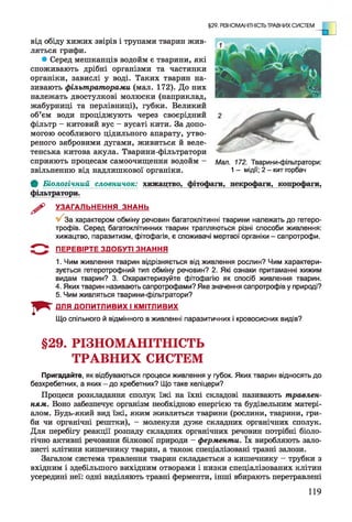 від обіду хижих звірів і трупами тварин жив­
ляться грифи.
* Серед мешканців водойм є тварини, які
споживають дрібні організми та частинки
органіки, завислі у воді. Таких тварин на­
зивають фільтраторами (мал. 172). До них
належать двостулкові молюски (наприклад,
жабурниці та перлівниці), губки. Великий
об’єм води проціджують через своєрідний
фільтр - китовий вус - вусаті кити. За допо­
могою особливого цідильного апарату, утво­
реного зябровими дугами, живиться й веле­
тенська китова акула. Тварини-фільтратори
сприяють процесам самоочищення водойм - Мал. 172. Тварини-фільтратори:
звільненню від надлишкової органіки. 1 - мідії; 2- кит горбач
§29. РІЗНОМАНІТНІСТЬ ТРАВНИХ СИСТЕМ
Ф Біологічний словничок: хижацтво, фітофаги, некрофаги, копрофаги,
фільтратори.
^ УЗАГАЛЬНЕННЯ ЗНАНЬ
V За характером обміну речовин багатоклітинні тварини належать до гетеро-
трофів. Серед багатоклітинних тварин трапляються різні способи живлення:
хижацтво, паразитизм, фітофагія, є споживачі мертвої органіки - сапротрофи.
5 " *^ ПЕРЕВІРТЕ ЗДОБУТІ ЗНАННЯ
1. Чим живлення тварин відрізняється від живлення рослин? Чим характери­
зується гетеротрофний тип обміну речовин? 2. Які ознаки притаманні хижим
видам тварин? 3. Охарактеризуйте фітофагію як спосіб живлення тварин.
4. Яких тварин називають сапротрофами? Яке значення сапротрофів у природі?
5. Чим живляться тварини-фільтратори?
Г *
ДЛЯ ДОПИТЛИВИХ І КМІТЛИВИХ
Що спільного й відмінного в живленні паразитичних і кровосисних видів?
§29. РІЗНОМАНІТНІСТЬ
ТРАВНИХ СИСТЕМ
Пригадайте, як відбуваються процеси живлення у губок. Яких тварин відносять до
безхребетних, а яких - до хребетних? Що таке хеліцери?
Процеси розкладання сполук їжі на їхні складові називають травлен­
ням. Воно забезпечує організм необхідною енергією та будівельним матері­
алом. Будь-який вид їжі, яким живляться тварини (рослини, тварини, гри­
би чи органічні рештки), - молекули дуже складних органічних сполук.
Для перебігу реакції розпаду складних органічних речовин потрібні біоло­
гічно активні речовини білкової природи - ферменти. їх виробляють зало­
зисті клітини кишечнику тварин, а також спеціалізовані травні залози.
Загалом система травлення тварин складається з кишечнику - трубки з
вхідним і здебільшого вихідним отворами і низки спеціалізованих клітин
усередині неї: одні виділяють травні ферменти, інші вбирають перетравлені
119
 