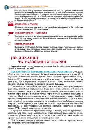 ч*?>
рин? Яка їхня роль у процесах перетравлення їжі? 4. Що таке позакишкове
травлення? Яким тваринам воно притаманне? 5. Яке значення появи щелеп в
еволюції хребетних тварин? 6. Яка роль печінки та підшлункової залози у про­
цесах перетравлення їжі? 7. З яких відділів складається кишечник хребетних
тварин? 8. Яка будова зуба у ссавців? 9. Яка функція язика у процесах живлен­
ня хребетних тварин?
Ц Ц ОБГОВОРІТЬ У ГРУПАХ
Які риси ускладнення спостерігають у травній системі різних груп безхребетних
(І група) та хребетних (II група) тварин.
ДЛЯ ДОПИТЛИВИХ І КМІТЛИВИХ
Чим можна пояснити, що в хижих ссавців шлунок часто однокамерний, тоді як
у тих, які живляться рослинною їжею, він може складатися з кількох різних за
функціями відділів?
ТВОРЧЕ ЗАВДАННЯ
Порівняйте особливості будови травної системи різних груп хордових тварин
за ознаками: чим переважно живляться, який спосіб живлення, які є органи
травлення. Відповідь оформіть у вигляді таблиці.
§30. ДИХАННЯ
ТА ГАЗООБМІН У ТВАРИН
Пригадайте, який процес називають диханням. Яке його біологічне значення? Які
функції мітохондрій у клітині?
ЯКЕ БІОЛОГІЧНЕ ЗНАЧЕННЯ ПРОЦЕСІВ ГАЗООБМІНУ? Суть газо­
обміну полягає в надходженні із зовнішнього середовища кисню (02) і
виділенні в довкілля певної суміші газів, зокрема вуглекислого (С02).
Оксиген (О) є одним з елементів, які беруть участь у багатьох хімічних
реакціях, що відбуваються всередині клітин. Отже, важливою ланкою
процесів обміну речовин та енергії є процеси дихання.
Пригадайте, в одноклітинних організмів, що мешкають у водному се­
редовищі, газообмін відбувається через поверхню клітини. У більшості
багатоклітинних тварин процес дихання складається з декількох етапів.
Кисень через шкірні покриви та/або через органи дихання надходить в
організм. Далі поширюється по ньому з порожнинною рідиною та/або з
кров’ю. Наступний етап - надходження кисню в клітини. Там він окис-
нює органічні речовини, унаслідок чого виділяється необхідна організму
енергія. Важлива роль у цих процесах належить органелам клітини - мі-
тохондріям. У них утворюються особливі сполуки (скорочено їх позна­
чають АТФ), здатні накопичувати енергію.
У процесах окиснення органічних сполук - білків, жирів і вуглеводів -
утворюються різні гази, зокрема С02. Вони видаляються з клітин до по­
рожнинної рідини та/або в кров, а з ними - до органів дихання та/або по­
кривів. Далі вони виводяться з організму назовні.
Щоб отримати кисень, у тварин розвинулися спеціальні пристосування,
які вбирають його з повітря або води.
ТЕМП З ПРОЦЕСИЖИТТЄДІЯЛЬНОСТІ ТВАРИН
'З ї
126
 