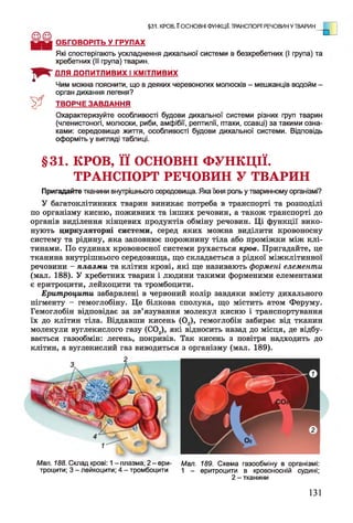 §31. КРОВ, II ОСНОВНІ ФУНКЦІЇ. ТРАНСПОРТ РЕЧОВИН У ТВАРИН
.
ОБГОВОРІТЬ У ГРУПАХ
Які спостерігають ускладнення дихальної системи в безхребетних (І група) та
хребетних (II група) тварин.
ДЛЯ ДОПИТЛИВИХ І КМІТЛИВИХ
Чим можна пояснити, що в деяких черевоногих молюсків - мешканців водойм -
орган дихання легеня?
> ^ ТВОРЧЕ ЗАВДАННЯ
Охарактеризуйте особливості будови дихальної системи різних груп тварин
(членистоногі, молюски, риби, амфібії, рептилії, птахи, ссавці) за такими озна­
ками: середовище життя, особливості будови дихальної системи. Відповідь
оформіть у вигляді таблиці.
§31. КРОВ, її ОСНОВНІ ФУНКЦІЇ.
ТРАНСПОРТ РЕЧОВИН У ТВАРИН
Пригадайте тканини внутрішнього середовища. Яка їхня роль у тваринному організмі?
У багатоклітинних тварин виникає потреба в транспорті та розподілі
по організму кисню, поживних та інших речовин, а також транспорті до
органів виділення кінцевих продуктів обміну речовин. Ці функції вико­
нують циркуляторні системи, серед яких можна виділити кровоносну
систему та рідину, яка заповнює порожнину тіла або проміжки між клі­
тинами. По судинах кровоносної системи рухається кров. Пригадайте, це
тканина внутрішнього середовища, що складається з рідкої міжклітинної
речовини - плазми та клітин крові, які ще називають формені елементи
(мал. 188). У хребетних тварин і людини такими форменими елементами
є еритроцити, лейкоцити та тромбоцити.
Еритроцити забарвлені в червоний колір завдяки вмісту дихального
пігменту - гемоглобіну. Це білкова сполука, що містить атом Феруму.
Гемоглобін відповідає за зв’язування молекул кисню і транспортування
їх до клітин тіла. Віддавши кисень (02), гемоглобін забирає від тканин
молекули вуглекислого газу (С02), які відносить назад до місця, де відбу­
вається газообмін: легень, покривів. Так кисень з повітря надходить до
клітин, а вуглекислий газ виводиться з організму (мал. 189).
Мал. 188. Склад крові: 1-плазма; 2 -ери- Мал. 189. Схема газообміну в організмі:
троцити; 3 - лейкоцити; 4 - тромбоцити 1 - еритроцити в кровоносній судині;
2 - тканини
2
131
 