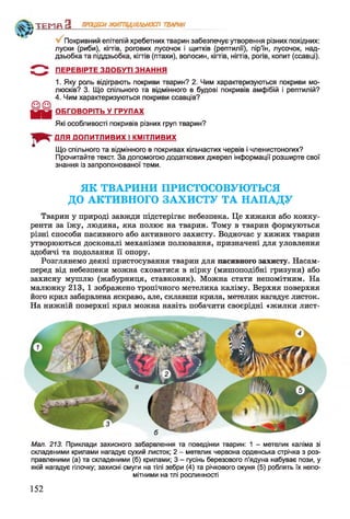 Ч ? '
Покривний епітелій хребетних тварин забезпечує утворення різних похідних:
луски (риби), кігтів, рогових лусочок і щитків (рептилії), пір’їн, лусочок, над­
дзьобка та піддзьобка, кігтів (птахи), волосин, кігтів, нігтів, рогів, копит (ссавці).
ПЕРЕВІРТЕ ЗДОБУТІ ЗНАННЯ
1. Яку роль відіграють покриви тварин? 2. Чим характеризуються покриви мо­
люсків? 3. Що спільного та відмінного в будові покривів амфібій і рептилій?
4. Чим характеризуються покриви ссавців?
ОБГОВОРІТЬ У ГРУПАХ
Які особливості покривів різних груп тварин?
ДЛЯ ДОПИТЛИВИХ І КМІТЛИВИХ
Що спільного та відмінного в покривах кільчастих червів і членистоногих?
Прочитайте текст. За допомогою додаткових джерел інформації розширте свої
знання із запропонованої теми.
ТЕМП З ПРОЦЕСИЖИТТЄДІЯЛЬНОСТІ ТВАРИН
ЯК ТВАРИНИ ПРИСТОСОВУЮТЬСЯ
ДО АКТИВНОГО ЗАХИСТУ ТА НАПАДУ
Тварин у природі завжди підстерігає небезпека. Це хижаки або конку­
ренти за їжу, людина, яка полює на тварин. Тому в тварин формуються
різні способи пасивного або активного захисту. Водночас у хижих тварин
утворюються досконалі механізми полювання, призначені для уловлення
здобичі та подолання її опору.
Розглянемо деякі пристосування тварин для пасивного захисту. Насам­
перед від небезпеки можна сховатися в нірку (мишоподібні гризуни) або
захисну мушлю (жабурниця, ставковик). Можна стати непомітним. На
малюнку 213, 1 зображено тропічного метелика каліму. Верхня поверхня
його крил забарвлена яскраво, але, склавши крила, метелик нагадує листок.
На нижній поверхні крил можна навіть побачити своєрідні «жилки лист-
Мал. 213. Приклади захисного забарвлення та поведінки тварин: 1 - метелик каліма зі
складеними крилами нагадує сухий листок; 2 - метелик червона орденська стрічка з роз­
правленими (а) та складеними (б) крилами; 3 - гусінь березового п’ядуна набуває пози, у
якій нагадує гілочку; захисні смуги на тілі зебри (4) та річкового окуня (5) роблять їх непо­
мітними на тлі рослинності
152
 