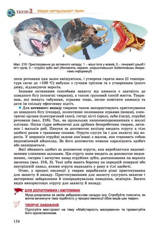 ТЕИН З ПРОЦЕСИЖИТТЄДІЯЛЬНОСТІ ТВАРИН
Мал. 216. Пристосування до активного нападу: 1 - міцні ікла у вовків; 2 - гачкуваті дзьоб і
кігті орла; 3 - отруйні зуби змії (доповніть перелік, скориставшися додатковими джере­
лами інформації)
пеки речовини цих залоз змішуються, і утворена гаряча маса (її темпера­
тура сягає до +100 °С) вибухає з гучним тріском та з утворенням їдкого
диму, відлякуючи ворогів.
Іншими активними способами захисту від хижаків є здатність до
швидкого бігу (копитні тварини), а також груповий спосіб життя. Твари­
нам, які живуть табунами, зграями тощо, легше помітити хижаків та
дати їм спільну ефективну відсіч.
• Для активного нападу тварини також використовують пристосування
до швидкого бігу (гепард), колективне полювання зграями (вовки), елек­
тричні органи (електричний скат), гострі кігті (орел), зуби (тигр), отруйні
речовини (мал. 216). Так, на щупальцях кишковопорожнинних є жалкі
клітини. Опіки гідри небезпечні для дрібних безхребетних тварин, личи­
нок і мальків риб. Павуки за допомогою хеліцер вводять отруту в тіло
здобичі разом з травними соками. Отрута слугує їм і для захисту від во­
рогів. У шершнів отруйні залози пов’язані з жалом, яке становить собою
видозмінений яйцеклад. За його допомогою комахи паралізують здобич
або захищаються.
Змії вбивають здобич за допомогою отрути, яка виробляється видозмі­
неними слинними залозами. Цю отруту вони вводять за допомогою видов­
жених, гострих і загнутих назад отруйних зубів, розташованих на верхніх
щелепах (мал. 216, 3). Такі зуби мають борозну на передній поверхні або
внутрішній канал, якими отрута надходить у рану в тілі здобичі.
Отже, у процесі еволюції у тварин виробилися різні пристосування
для захисту й нападу. Пристосуваннями для захисту слугують захисне і
застережне забарвлення й попереджувальна поведінка, мімікрія. Багато
видів використовує отруту для захисту й нападу.
ДЛЯ ДОПИТЛИВИХ І КМІТЛИВИХ
Муха-дзюрчалка за своїм забарвленням нагадує осу. Спробуйте пояснити, як
могла виникнути така подібність у процесі еволюції обох видів цих тварин.
ТВОРЧЕ ЗАВДАННЯ
Підготуйте міні-проект на тему «Майстерність маскування» та презентуйте
його однокласникам.
154
 