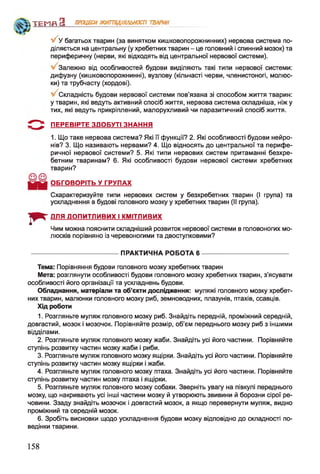 V У багатьох тварин (за винятком кишковопорожнинних) нервова система по­
діляється на центральну (у хребетних тварин - це головний і спинний мозок) та
периферичну (нерви, які відходять від центральної нервової системи).
Залежно від особливостей будови виділяють такі типи нервової системи:
дифузну (кишковопорожнинні), вузлову (кільчасті черви, членистоногі, молюс­
ки) та трубчасту (хордові).
Складність будови нервової системи пов’язана зі способом життя тварин:
у тварин, які ведуть активний спосіб життя, нервова система складніша, ніж у
тих, які ведуть прикріплений, малорухливий чи паразитичний спосіб життя.
5 " ^ ПЕРЕВІРТЕ ЗДОБУТІ ЗНАННЯ
1. Що таке нервова система? Які її функції? 2. Які особливості будови нейро­
нів? 3. Що називають нервами? 4. Що відносять до центральної та перифе­
ричної нервової системи? 5. Які типи нервових систем притаманні безхре­
бетним тваринам? 6. Які особливості будови нервової системи хребетних
тварин?
ОБГОВОРІТЬ У ГРУПАХ
Схарактеризуйте типи нервових систем у безхребетних тварин (І група) та
ускладнення в будові головного мозку у хребетних тварин (II група).
ДЛЯ ДОПИТЛИВИХ І КМІТЛИВИХ
Чим можна пояснити складніший розвиток нервової системи в головоногих мо­
люсків порівняно із черевоногими та двостулковими?
ТЕМП З ПРОЦЕСИЖИТТЄДІЯЛЬНОСТІ ТВАРИН
І * "
------------------------------------------- ПРАКТИЧНА РОБОТА 6 ------------------------------------------
Тема: Порівняння будови головного мозку хребетних тварин
Мета: розглянути особливості будови головного мозку хребетних тварин, з’ясувати
особливості його організації та ускладнень будови.
Обладнання, матеріали та об’єкти дослідження: муляжі головного мозку хребет­
них тварин, малюнки головного мозку риб, земноводних, плазунів, птахів, ссавців.
Хід роботи
1. Розгляньте муляж головного мозку риб. Знайдіть передній, проміжний середній,
довгастий, мозок і мозочок. Порівняйте розмір, об'єм переднього мозку риб з іншими
відділами.
2. Розгляньте муляж головного мозку жаби. Знайдіть усі його частини. Порівняйте
ступінь розвитку частин мозку жаби і риби.
3. Розгляньте муляж головного мозку ящірки. Знайдіть усі його частини. Порівняйте
ступінь розвитку частин мозку ящірки і жаби.
4. Розгляньте муляж головного мозку птаха. Знайдіть усі його частини. Порівняйте
ступінь розвитку частин мозку птаха і ящірки.
5. Розгляньте муляж головного мозку собаки. Зверніть увагу на півкулі переднього
мозку, що накривають усі інші частини мозку й утворюють звивини й борозни сірої ре­
човини. Ззаду знайдіть мозочок і довгастий мозок, а якщо перевернути муляж, видно
проміжний та середній мозок.
6. Зробіть висновки щодо ускладнення будови мозку відповідно до складності по­
ведінки тварини.
158
 
