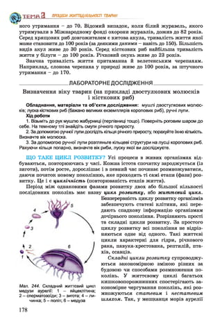 Ч**>
ного утримання - до 70. Відомий випадок, коли білий журавель, якого
утримували в Міжнародному фонді охорони журавлів, дожив до 82 років.
Серед хрящових риб довгожителем є китова акула, тривалість життя якої
може становити до 100 років (за деякими даними - навіть до 150). Більшість
видів акул живе до ЗО років. Серед кісткових риб найбільша тривалість
життя у білуги - до 100 років. Річковий окунь живе до 23 років.
Значна тривалість життя притаманна й велетенським черепахам.
Наприклад, слонова черепаха у природі живе до 100 років, за штучного
утримання - до 170.
__________________ ЛАБОРАТОРНЕДОСЛІДЖЕННЯ___________________
Визначення віку тварин (на прикладі двостулкових молюсків
і кісткових риб)
Обладнання, матеріали та об’єкти дослідження: мушлі двостулкових молюс­
ків; луска кісткових риб (бажано великих екземплярів коропових риб), ручні лупи.
Хід роботи
1. Візьміть до рук мушлю жабурниці (перлівниці тощо). Поверніть роговим шаром до
себе. На темному тлі знайдіть смуги річного приросту.
2. За допомогою ручної лупи дослідіть кільця річного приросту, порахуйте їхню кількість.
Визначте вік молюска.
3. За допомогою ручної лупи розгляньте кільцеві структури на лусці коропових риб.
Рахуючи кільця попарно, визначте вік риби, луску якої ви досліджуєте.
ЩО ТАКЕ ЦИКЛ РОЗВИТКУ? Усі процеси в живих організмах від­
буваються, повторюючись у часі. Кожна істота спочатку зароджується (із
зиготи), потім росте, дорослішає і в певний час починає розмножуватися,
даючи початок новому поколінню, яке проходить ті самі етапи (фази) роз­
витку. Це і є циклічність (повторюваність етапів життя).
Період між однаковими фазами розвитку двох або більшої кількості
послідовних поколінь має назву цикл розвитку, або життєвий цикл.
Безперервність циклу розвитку організмів
забезпечують статеві клітини, які пере­
дають спадкову інформацію організмам
дочірнього покоління. Розрізняють прості
та складні цикли розвитку. За простого
циклу розвитку всі покоління не відріз­
няються одне від одного. Такі життєві
цикли характерні для гідри, річкового
рака, павука-хрестовика, рептилій, пта­
хів, ссавців.
Складні цикли розвитку супроводжу­
ються закономірною зміною різних за
будовою чи способами розмноження по­
колінь. У життєвому циклі багатьох
кишковопорожнинних спостерігають за­
кономірне чергування поколінь, які роз­
множуються статевим і нестатевим
шляхом. Так, у мешканця морів аурелії
ТЕМП З ПРОЦЕСИЖИТТЄДІЯЛЬНОСТІ ТВАРИН
Мал. 244. Складний життєвий цикл
медузи аурелії: 1 - яйцеклітина;
2 - сперматозоїди; 3 - зигота; 4 - ли­
чинка; 5 - поліп; 6 - медуза
178
 