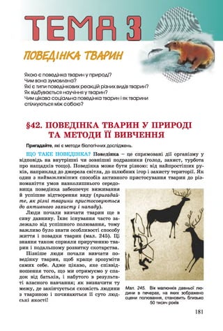 ПОВЕДІНКА ТВАРИН
Якою є поведінка тварин у природі?
Чим вона зумовлена?
Які є типи поведінкових реакцій різних видів тварин?
Як відбувається научіння у тварин?
Чим цікава соціальна поведінка тварин і як тварини
спілкуються між собою?
§42. ПОВЕДІНКА ТВАРИН У ПРИРОДІ
ТА МЕТОДИ її ВИВЧЕННЯ
Пригадайте, які є методи біологічних досліджень.
ЩО ТАКЕ ПОВЕДІНКА? Поведінка - це спрямовані дії організму у
відповідь на внутрішні чи зовнішні подразники (голод, захист, турбота
про нащадків тощо). Поведінка може бути різною: від найпростіших ру­
хів, наприклад до джерела світла, до шлюбних ігор і захисту території. Як
один з найважливіших способів активного пристосування тварин до різ­
номаніття умов навколишнього середо­
вища поведінка забезпечує виживання
й успішне відтворення виду (пригадай­
те, як різні тварини пристосовуються
до активного захисту і нападу).
Люди почали вивчати тварин ще в
сиву давнину. їхнє існування часто за­
лежало від успішного полювання, тому
важливо було знати особливості способу
життя і повадки тварин (мал. 245). Ці
знання також сприяли прирученню тва­
рин і подальшому розвитку скотарства.
Пізніше люди почали вивчати по­
ведінку тварин, щоб краще зрозуміти
самих себе. Адже цікаво, яке співвід­
ношення того, що ми отримуємо у спа­
док від батьків, і набутого в результа­
ті власного навчання; як визначити ту
межу, де закінчується схожість людини Мал. 245. Вік малюнків давньої лю-
з твариною і починаються її суто люд- Дини в печерах, на яких зображено
. сцени полювання, становить близько
С Ь К І Я К О С Т1І гл л
50 тисяч років
181
 