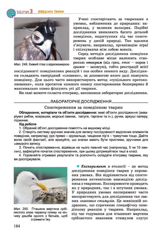 Т Е М П З ПОВЕДІНКА ТВАРИН
Учені спостерігають за тваринами в
умовах, наближених до природних: на­
приклад, у великих вольєрах. Подібні
дослідження виявляють багато деталей
поведінки, недоступних під час спосте­
режень у дикій природі. Так вдалося
з’ясувати, наприклад, організацію зграї
і спілкування між собою вовків.
Серед методів дослідження поведінки
тварин особливе місце належить ство-
Мал. 249. Хижий птах з відеокамерою Ренню ет°*Рам <ВД № етос ~ Н°Р°В 1
грамос - записую), тобто реєстрації всієї
послідовності поведінкових реакцій і поз особин певного виду. Дослідни­
ки складають своєрідний «словник», за допомогою якого далі описують
поведінку. Для цього часто використовують метод «суцільного протоко­
лювання», коли протягом кожного сеансу спостереження безперервно й
максимально повно фіксують усі дії тварини.
Ви самі можете скласти етограму, виконавши лабораторне дослідження.
__________________ ЛАБОРАТОРНЕ ДОСЛІДЖЕННЯ__________________
Спостереження за поведінкою тварин
Обладнання, матеріали та об’єкти дослідження: живі об’єкти дослідження (аква­
ріумні рибки, ховрашки, морські свинки, папуги, таргани та ін.), ручки, аркуші паперу,
годинник.
Хід роботи
1. Обраний об’єкт дослідження помістіть на видному місці.
2. Створіть систему зручних значків для запису послідовності виділених елементів
поведінки, наприклад: рух прямо - кружальце, чищення пір'я - трикутник тощо. Дайте
волю своїй фантазії, але врахуйте, що значки мають бути простими, зручними для
швидкого запису.
3. Почніть спостереження, відвівши на нього певний час (наприклад, 5 чи 10 хви­
лин), зафіксуйте початок спостереження, при цьому дотримуйтеся тиші в класі.
4. Порівняйте отримані результати та розпочніть складати етограму тварини, яку
ви досліджували.
• Експеримент, в етології - це метод
дослідження поведінки тварин у керова­
них умовах. Він відрізняється від спосте­
реження активнішою взаємодією дослід­
ника з твариною. Експерименти проводять
як у природних, так і в штучних умовах.
У природних умовах експеримент часто
використовують для дослідження так зва­
них знакових стимулів. Це зовнішній по­
дразник, що спричиняє специфічну пове-
дінкову реакцію у тварини. Наприклад,
під час годування для пташенят мартина
сріблястого знаковим стимулом слугує
Мал. 250. Пташеня мартина сріб­
лястого клює червону пляму на кін­
чику дзьоба одного з батьків, щоб
отримати їжу
184
 