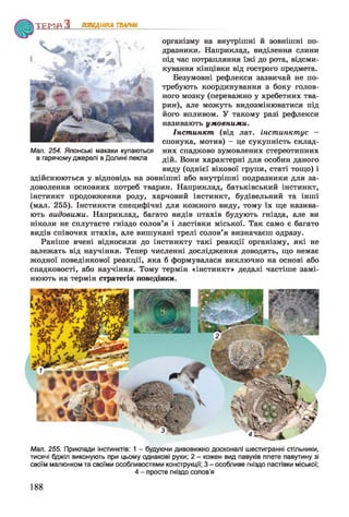 Т Е М П З ПОВЕДІНКА ТВАРИН
організму на внутрішні й зовнішні по­
дразники. Наприклад, виділення слини
під час потрапляння їжі до рота, відсми­
кування кінцівки від гострого предмета.
Безумовні рефлекси зазвичай не по­
требують координування з боку голов­
ного мозку (переважно у хребетних тва­
рин), але можуть видозмінюватися під
його впливом. У такому разі рефлекси
називають ум о вн и м и .
Ін с т и н кт (від лат. інст инкт ус -
спонука, мотив) —це сукупність склад­
них спадково зумовлених стереотипних
дій. Вони характерні для особин даного
виду (однієї вікової групи, статі тощо) і
здійснюються у відповідь на зовнішні або внутрішні подразники для за­
доволення основних потреб тварин. Наприклад, батьківський інстинкт,
інстинкт продовження роду, харчовий інстинкт, будівельний та інші
(мал. 255). Інстинкти специфічні для кожного виду, тому їх ще назива­
ють видовими. Наприклад, багато видів птахів будують гнізда, але ви
ніколи не сплутаєте гніздо солов’я і ластівки міської. Так само є багато
видів співочих птахів, але вишукані трелі солов’я визначаєш одразу.
Раніше вчені відносили до інстинкту такі реакції організму, які не
залежать від научіння. Тепер численні дослідження доводять, що немає
жодної поведінкової реакції, яка б формувалася виключно на основі або
спадковості, або научіння. Тому термін «інстинкт» дедалі частіше замі­
нюють на термін стратегія поведінки.
Мал. 255. Приклади інстинктів: 1 - будуючи дивовижно досконалі шестигранні стільники,
тисячі бджіл виконують при цьому однакові рухи; 2 - кожен вид павуків плете павутину зі
своїм малюнком та своїми особливостями конструкції; 3 - особливе гніздо ластівки міської;
4 - просте гніздо солов’я
Мал. 254. Японські макаки купаються
в гарячому джерелі в Долині пекла
188
 