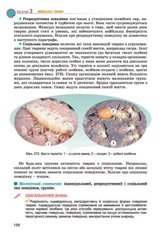 ТЕМП З ПОВЕДІНКА ТВАРИН
• Репродуктивна поведінка пов’язана з утворенням шлюбних пар, на­
родженням потомства й турботою про нього. Вона часто супроводжується
залицянням. Функція залицяння полягає в тому, щоб звести разом двох
тварин різної статі в умовах, які забезпечують найбільшу ймовірність
успішного парування. Більше про репродуктивну поведінку ви дізнаєтеся
з наступного параграфа.
* Соціальна поведінка включає всі типи взаємодій тварин в угрупован­
нях. Одні тварини ведуть поодинокий спосіб життя, наприклад тигри. Інші
види утворюють різноманітні за чисельністю (до багатьох тисяч особин)
та рівнем складності спільноти. Так, терміти живуть у складно організова­
них колоніях, число дорослих особин у яких може досягати від декількох
сотень до декількох мільйонів. Усі терміти в колонії поділяються на три
основні групи (касти): робочі особини, особини-солдати і особини, здатні
до розмноження (мал. 272). Схожу організацію колоній мають більшість
мурашок. Людиноподібні мавпи орангутани живуть маленькими група­
ми, які складаються із самки та її дитинчат. Зрідка трапляються групи з
двох дорослих самок. Самці ведуть поодинокий спосіб життя.
Мал. 272. Касти термітів: 1 - родюча самка; 2 - солдат; 3 - робочі особини
Не будь-яка групова активність тварин є соціальною. Наприклад,
спільний політ метеликів на світло або загальну втечу тварин від лісової
пожежі не можна назвати соціальною поведінкою. Більше про соціальну
поведінку - згодом.
Ф Біологічний словничок: індивідуальний, репродукттитний і с о ц іа л ь н и й
тип поведінки, грумінг.
^ УЗАГАЛЬНЕННЯ ЗНАНЬ
Розрізняють індивідуальну, репродуктивну й соціальну форми поведінки
тварин. Індивідуальна поведінка спрямована на виживання й життєзабезпе­
чення окремої особини. Це різні способи пересування, дослідницька актив­
ність, харчова поведінка, поведінка, спрямована на пошук оптимального тем­
пературного режиму, захисна поведінка, використання різних знарядь.
198
 