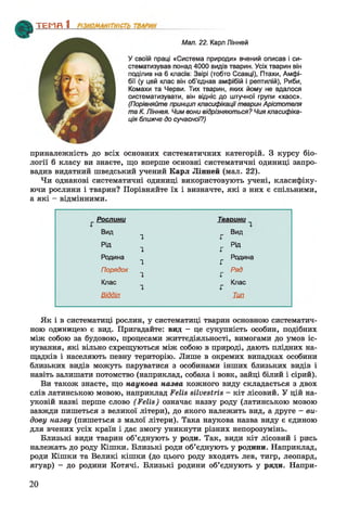 У своїй праці «Система природи» вчений описав і си­
стематизував понад 4000 видів тварин. Усіх тварин він
поділив на 6 класів: Звірі (тобто Ссавці), Птахи, Амфі­
бії (у цей клас він об’єднав амфібій і рептилій), Риби,
Комахи та Черви. Тих тварин, яких йому не вдалося
систематизувати, він відніс до штучної групи «хаос».
(Порівняйте принцип класифікації'тварин Арістотепя
та К. Ліннея. Чим вони відрізняються? Чия класифіка­
ція ближче до сучасної?)
приналежність до всіх основних систематичних категорій. З курсу біо­
логії 6 класу ви знаєте, що вперше основні систематичні одиниці запро­
вадив видатний шведський учений Карл Лінней (мал. 22).
Чи однакові систематичні одиниці використовують учені, класифіку­
ючи рослини і тварин? Порівняйте їх і визначте, які з них є спільними,
а які - відмінними.
Рослини Тварини
Вид
1 Г
Вид
Рід
1 JT
Рід
Родина
1 г
Родина
Порядок
1 г
Ряд
Клас
1 г
Клас
Відділ Тип
Як і в систематиці рослин, у систематиці тварин основною систематич­
ною одиницею є вид. Пригадайте: вид - це сукупність особин, подібних
між собою за будовою, процесами життєдіяльності, вимогами до умов іс­
нування, які вільно схрещуються між собою в природі, дають плідних на­
щадків і населяють певну територію. Лише в окремих випадках особини
близьких видів можуть паруватися з особинами інших близьких видів і
навіть залишати потомство (наприклад, собака і вовк, зайці білий і сірий).
Ви також знаєте, що наукова назва кожного виду складається з двох
слів латинською мовою, наприклад Felis silvestris - кіт лісовий. У цій на­
уковій назві перше слово (Felis) означає назву роду (латинською мовою
завжди пишеться з великої літери), до якого належить вид, а друге - ви­
дову назву (пишеться з малої літери). Така наукова назва виду є єдиною
для вчених усіх країн і дає змогу уникнути різних непорозумінь.
Близькі види тварин об’єднують у роди. Так, види кіт лісовий і рись
належать до роду Кішки. Близькі роди об’єднують у родини. Наприклад,
роди Кішки та Великі кішки (до цього роду входять лев, тигр, леопард,
ягуар) - до родини Котячі. Близькі родини об’єднують у ряди. Напри-
ТЕИ Я 1________________
Мал. 22. Карл Лінней
20
 
