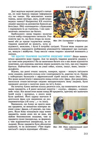 Досі ведуться наукові дискусії з питан­
ня, як саме бджола передає інформацію
під час танцю. Що важливіше: власне
танець, запах нектару, звук, який супро­
воджує танець? Наприкінці X X століття
людині вдалося за допомогою бджоли-ро-
бота (мал. 294) «поговорити» з бджолами
і спрямувати їх до годівниць. І все одно -
запитань лишається ще багато.
Здебільшого «мова тварин» включає
тільки набір стандартних сигналів. Роз­
повісти про те, що було вчора на полю­
ванні або де краще годуватися завтра,
тварини зазвичай не можуть, хоча ці
відомості, можливо, і були б потрібні сусідові. Тільки мова людини дає
можливість передавати необмежене різноманіття інформації про сьогоден­
ня, минуле і майбутнє. Тому вислів «мова тварин» зазвичай вживають у
лапках.
ЧИ ЗДАТНІ ТВАРИНИ ЗАСВОЇТИ ЛЮДСЬКУ МОВУ? Люди намага­
ються зрозуміти мову тварин. Але чи можуть тварини розуміти людину і
що саме вони розуміють? На це запитання багато хто з нас може відповісти
позитивно, але відповідь значною мірою залежить від того, про яку тварину
йдеться. Найчастіше мають на увазі собак, кішок, папуг, мавп, інколи -
дельфінів.
Відомо, що деякі птахи: папуги, канарки, круки - можуть імітувати
мову людини, вивчити кілька слів і повторювати їх, доречно чи ні. Одним
з найкращих балакунів є африканський сірий папуга жако (мал. 295).
Він може запам’ятати і вимовляти понад сотню слів і фраз. Для розуміння,
наскільки птахи-імітатори свідомо використовують мову людини, були
проведені досліди з папугою жако на ім’я Алекс.
На початку Алекс вивчив кілька десятків слів, що позначають не тільки
назви предметів, а й деякі загальні поняття - «колір», «форма», «однако­
вий» тощо. Він запам’ятав назви понад ЗОпредметів, причому міг зазначати
їхній колір і матеріал, з якого вони
були зроблені. Його одразу навчили й
декількох фраз для звернення до екс­
периментатора («Я хочу ...» та інші).
Виявилося, що Алекс не просто нази­
ває предмети, не механічно повторює ви­
вчені слова і фрази, а й розуміє, що гово­
рить. Коли йому показували пару нових
предметів, назви яких він не знав, він
майже безпомилково вказував, чим ці
предмети схожі (наприклад, за формою),
а чим відрізняються (наприклад, за ко­
льором). Якщо предмети були абсолютно
однакові, то на запитання: «Чим відріз­
няється?» папуга відповідав: «Нічим».
§ 49. КОМУНІКАЦІЯ ТВАРИН
Мал. 295. Жако (африканський сірий
папуга) Алекс
Мал. 294. Експеримент із бджолою-ро-
ботом
213
 