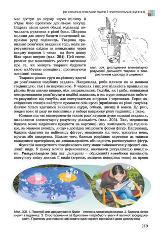 має доступ до корму через щілину й
з’їдає його протягом декількох секунд.
Відразу після цього обидві годівниці по­
чинають рухатися в різні боки. Ширина
щілини дає змогу бачити початковий на­
прямок руху годівниць. Тварина пра­
вильно розв’язує завдання тоді, коли пе­
ресувається слідом за невидимим через
ширму кормом і чекає на його появу
біля краю ширми (мал. 304). Цей експе­
римент дає можливість робити висновок
про те, чи можуть тварини будувати
свою майбутню поведінку, прогнозуючи
зовнішні явища.
Тварини різних груп по-різному здатні
до розв’язання подібних завдань. Наприклад, риби пливли як за повного
годівницею, так і за порожньою. У черепах і ящірок кількість правильних
рішень була значно вищою, ніж неправильних. Голуби, як і риби, виявилися
неспроможними розв’язувати подібні завдання, а ось кури поводяться набага­
то розумніше від голубів, але поступаються ящіркам і черепахам. Серед до­
сліджених ссавців найгірше проявили себе кролі (приблизно на рівні голубів).
Значно більш здатними виявилися щури, собаки, лисиці й вовки. До речі,
жоден вовк ні разу не помилився у виборі напрямку руху годівниці з їжею.
Комахи під час експериментів також розв’язували дуже складні завдання,
виявляючи елементарну розумову діяльність (мал. 305). Так, медоносна
бджола може відрізнити предмети на картинці, яку поміщають під годівни­
цю, за ознакою розміру, якщо в дослідах змінювати форми фігур. Наприклад,
бджола сідатиме на найменшу фігуру, незалежно від того, трикутна вона,
кругла або квадратна. Більше того, бджола розрізняє картинки за такими
складними критеріями, як двокольоровість або парність розташування фігур.
Функція конкретного поведінкового акту може змінюватися у процесі ево­
люції виду. У цьому можна переконатися, вивчаючи ритуалізацію поведін­
ки. Ритуалізацією (від лат. ритуаліз - обрядовий) поведінки називають
поступову зміну деяких її видів (агресія, зміщена поведінка тощо) на прояв
§50. ЕВОЛЮЦІЯ ПОВЕДІНКИ ТВАРИН, ППРИСТОСУВАЛЬНЕ ЗНАЧЕННЯ
мал. зич. дослідження елементарної
розумової діяльності тварини з вико­
ристанням «досліду із ширмою»
Мал. 305.1. Пристрій для дресирування бджіл - столик з двома годівницями. 2. Бджола дістає
сироп з годівниці. 3. Спостереження за бджолами потребують уваги й великої зосередже­
ності. Протягом дня повинні змінювати один одного принаймні двоє дослідників
219
 