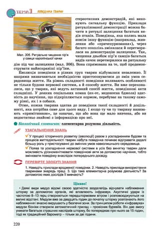 Т Е М Я З ПОВЕДІНКА ТВАРИН
стереотипних демонстрацій, які вико­
нують сигнальну функцію. Приклади
ритуалізованої демонстрації можна ба­
чити в ритуалі залицяння багатьох ви­
дів птахів. Поведінка, яка колись мала
зовсім іншу функцію (наприклад, жив­
лення або «причепурювання»), через
багато поколінь змінилася й перетвори­
лася на демонстрацію залицяння. Так,
Мал. 306. Ритуальне чищення пір я чищення дзьобом пір’я самців багатьох
у самця каролінської качки
1 ^ видів качок перетворилося на ритуальну
дію під час залицяння (мал. 306). Вона спрямована на те, щоб продемон­
струвати найяскравіші пір’їни.
Еволюція поведінки в різних груп тварин відбувалася незалежно. Її
напрями визначаються необхідністю пристосовуватися до змін умов се­
редовища життя. На рівень складності поведінки впливають особливості
не тільки будови нервової системи, а й способу життя. Ви вже перекона­
лися, що у тварин, які ведуть активний спосіб життя, поведінкові акти
складніші. У деяких соціальних комах (як-от, медоносна бджола) здат­
ність до научіння, що підкріплюється кормом, перебуває на такому само­
му рівні, як і в собаки.
Отже, кожна тварина здатна до поведінки такої складності й доціль­
ності, яка потрібна саме для цього виду. І якщо ту чи ту тварину назива­
ють «примітивною», це означає, що або вона ще мало вивчена, або ви
недостатньо знайомі з інформацією про неї.
ф Біологічний словничок: елементарна розумова діяльність.
^ УЗАГАЛЬНЕННЯ ЗНАНЬ
у 'у процесі історичного розвитку (еволюції) разом з ускладненням будови та
процесів життєдіяльності тварин набута поведінка починає відігравати дедалі
більшу роль у пристосуванні до змінних умов навколишнього середовища.
Поява та ускладнення нервової системи в усіх без винятку тварин дали
можливість урізноманітнювати поведінкові акти за допомогою научіння, тобто
змінювати поведінку внаслідок попереднього досвіду.
ПЕРЕВІРТЕ ЗДОБУТІ ЗНАННЯ
1. Наведіть приклади вродженої поведінки. 2. Наведіть приклади використання
тваринами знарядь праці. 3. Що таке елементарна розумова діяльність? За
допомогою яких дослідів її вивчають?
Цікаво!
* Деякі види медуз відомі своєю здатністю заздалегідь відчувати наближення
шторму за допомогою органів, які вловлюють інфразвук. Акустичні удари із
частотою 8-13 герц створюються передштормовим вітром і розповсюджуються на
великі відстані. Медузи вже за двадцять годин до початку шторму розпізнають його
наближення і вчасно вирушають у безпечні зони. За принципом роботи «інфравуха»
медузи біоніки створили автоматичний прилад - провісник буревіїв. Він дає змогу
уникати багатьох страшних наслідків шторму, бо попереджає про нього за 15 годин,
тоді як традиційний барометр - тільки за дві години.
220
 