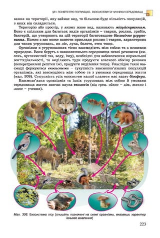 вання на території, яку займає вид, то більшою буде кількість популяцій,
з яких він складається.
Територію або простір, у якому живе вид, називають місцеіснуванням.
Воно є спільним для багатьох видів організмів - тварин, рослин, грибів,
бактерій, що утворюють на цій території багатовидове біологічне угрупо­
вання. Кожен з вас може навести приклади рослин і тварин, характерних
для таких угруповань, як ліс, лука, болото, степ тощо.
Організми в угрупованнях тісно взаємодіють між собою та з неживою
природою. Вони беруть з навколишнього середовища певні речовини (ки­
сень, вуглекислий газ, воду, їжу), необхідні для забезпечення нормальної
життєдіяльності, та виділяють туди продукти власного обміну речовин
(неперетравлені рештки їжі, продукти виділення тощо). Унаслідок такої вза­
ємодії формуються екосистеми - сукупність взаємопов’язаних популяцій
організмів, які взаємодіють між собою та з умовами середовища життя
(мал. 308). Сукупність усіх екосистем нашої планети має назву біосфера.
Взаємозв’язки організмів та їхніх угруповань між собою й умовами
середовища життя вивчає наука екологія (від грец. ойкос - дім, житло і
логос —учення).
§51. ПОНЯТТЯ ПРО ПОПУЛЯЦІЮ, ЕКОСИСТЕМУ ТА ЧИННИКИ СЕРЕДОВИЩА
Мал. 308. Екосистема лісу (опишіть позначені на схемі організми, вказавши характер
їхнього живлення)
 