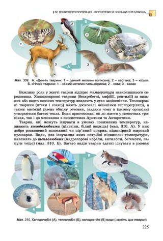 § 52. ПОНЯТТЯ ПРО ПОПУЛЯЦІЮ, ЕКОСИСТЕМУ ТА ЧИННИКИ СЕРЕДОВИЩА
Мал. 309. А. «Денні» тварини: 1 - денний метелик поліксена; 2 - ластівка; 3 - козуля.
Б. «Нічні» тварини: 1 - нічний метелик пальцекрилка; 2 - сова; 3 - кажан
Важливу роль у житті тварин відіграє температура навколишнього се­
редовища. Холоднокровні тварини (безхребетні, амфібії, рептилії) за низь­
ких або надто високих температур впадають у стан заціпеніння. Теплокров­
ні тварини (птахи і ссавці) мають досконалі механізми теплорегуляції, а
також високий рівень обміну речовин, завдяки чому в їхньому організмі
утворюється багато тепла. Вони пристосовані як до життя у спекотних тро­
піках, так і до мешкання в екосистемах Арктики та Антарктики.
Тварин, які можуть існувати в умовах понижених температур, на­
зивають холодолюбними (пінгвіни, білий ведмідь) (мал. 310. А). У них
добре розвинений волосяний чи пір’яний покрив, підшкірний жировий
прошарок. Види, для існування яких потрібні підвищені температури,
належать до теплолюбних (мадрепорові корали, антилопи, бегемоти, па­
пуги тощо) (мал. 310. Б). Багато видів тварин здатні існувати в умовах
Мал. 310. Холодолюбні (А), теплолюбні (Б), холодостійкі (В) види (назвіть цих тварин)
225
 