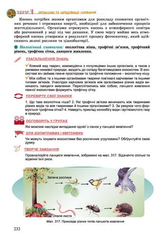 А шя
Кисень потрібен живим організмам для розкладу спожитих органіч­
них речовин і отримання енергії, необхідної для забезпечення процесів
життєдіяльності. Організми отримують кисень з атмосферного повітря
або розчинений у воді під час дихання. У свою чергу майже весь атмо­
сферний кисень утворився в результаті процесу фотосинтезу, який здій­
снюють зелені рослини та ціанобактерії.
Ф Біологічний словничок: екологічна ніша, трофічні зв’язки, трофічний
рівень, трофічна сітка, ланцюги живлення.
^ УЗАГАЛЬНЕННЯ ЗНАНЬ
Кожний вид тварин, взаємодіючи з популяціями інших організмів, а також з
умовами неживої природи, входить до складу багатовидових екосистем. В еко­
системі він займає певне просторове та трофічне положення - екологічну нішу.
Між собою та з іншими організмами тварини пов'язані харчовими та іншими
типами зв'язків. Унаслідок харчових зв'язків між організмами різних видів ви­
никають ланцюги живлення. Переплітаючись між собою, ланцюги живлення
певної екосистеми формують трофічну сітку.
ПЕРЕВІРТЕ СВОЇ ЗНАННЯ
1. Що таке екологічна ніша? 2. Які трофічні зв’язки виникають між тваринами
різних видів та між тваринами й іншими організмами? 3. За рахунок чого фор­
мується трофічна сітка? 4. Наведіть приклад колообігу води і вуглекислого газу
в природі.
ОБГОВОРІТЬ У ГРУПАХ
Які можливі наслідки випадання однієї з ланок у ланцюзі живлення?
ДЛЯ ДОПИТЛИВИХ І КМІТЛИВИХ
Чи можуть існувати екосистеми без рослинних угруповань? Обґрунтуйте свою
думку.
ТВОРЧЕ ЗАВДАННЯ
Проаналізуйте ланцюги живлення, зображені на мал. 317. Відзначте спільні та
відмінні їхні риси.
1 * -
Зелена рослина
!—-*■
листя
Мал. 317. Приклади різних типів ланцюгів живлення
232
 