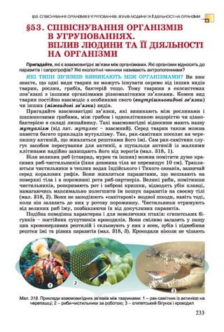 §53. СПІВІСНУВАННЯ ОРГАНІЗМІВ
В УГРУПОВАННЯХ,
вп л и в л ю д и н и ТА її ДІЯЛЬНОСТІ
НА ОРГАНІЗМИ
Пригадайте, які є взаємовигідні зв’язки між організмами. Які організми відносять до
паразитів і сапротрофів? Які екологічні чинники називають антропогенними?
ЯКІ ТИПИ ЗВ’ЯЗКІВ ВИНИКАЮТЬ МІЖ ОРГАНІЗМАМИ? Ви вже
знаєте, що одні види тварин не можуть існувати окремо від інших видів
тварин, рослин, грибів, бактерій тощо. Тому тварини в екосистемах
пов’язані з іншими організмами різноманітними зв’язками. Кожен вид
тварин постійно взаємодіє з особинами свого (внутрішньовидові зв’язки)
чи інших (міжвидові зв’язки) видів.
Пригадайте взаємовигідні зв’язки, які виникають між рослинами і
шапинковими грибами, між грибом і одноклітинною водорістю чи ціано­
бактерією в складі лишайнику. Такі взаємовигідні відносини мають назву
мутуалізм (від лат. мутулюс - взаємний). Серед тварин також можна
навести багато прикладів мутуалізму. Так, рак-самітник поселяє на чере­
пашку актиній, що живляться рештками його їжі. Сам рак-самітник слу­
гує засобом пересування для актинії, а щупальця актиній із жалкими
клітинами надійно захищають його від ворогів (мал. 318, 1).
Біля великих риб (ставрид, мурен та інших) можна помітити дуже кра­
сивих риб-чистильників (їхня довжина тіла не перевищує 10 см). Трапля­
ються чистильники в теплих водах Індійського і Тихого океанів, зазвичай
серед коралових рифів. Вони живляться паразитами, що мешкають на
поверхні тіла і в порожнині рота риб-партнерів. Великі риби, помітивши
чистильників, розкривають рот і зяброві кришки, відводять убік плавці,
намагаючись максимально полегшити їм пошук паразитів на своєму тілі
(мал. 318, 2). Вони не заподіюють «санітарові» жодної шкоди, навіть тоді,
коли він залазить до них у ротову порожнину. Чистильники отримують
від великих риб їжу, позбавляючи їх від докучливих паразитів.
Подібна поведінка характерна і для невеличких птахів: єгипетських бі­
гунків - постійних супутників крокодилів. Вони сміливо залазять у пащу
цих кровожерливих рептилій і скльовують у них з ясен, зубів і піднебіння
рештки їжі та різних паразитів (мал. 318, 3). Крокодили ніколи не чіпають
§53. СПІВІСНУВАННЯ ОРГАНІЗМІВ ВУГРУПОВАННЯХ. ВПЛИВ ЛЮДИНИ ТА ІІ ДІЯЛЬНОСТІ НА ОРГАНІЗМИ
Мал. 318. Приклади взаємовигідних зв'язків між тваринами: 1- рак-самітник із актинією на
черепашці; 2 - риби-чистильники за роботою; 3 - єгипетський бігунок і крокодил
233
 
