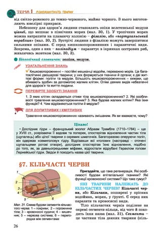 від світло-рожевого до темно-червоного, майже чорного. З нього виготов­
ляють ювелірні прикраси.
Небезпеку для здоров’я людини становлять опіки велетенської медузи
ціанеї, що мешкає в північних морях (мал. ЗО, 1). У тропічних морях
можна натрапити на плаваючу колонію - фізалію, або «португальський
кораблик» (мал. ЗО, 2). Зустрічі людини з фізалією можуть завершитися
сильними опіками. Є серед кишковопорожнинних і паразитичні види.
Зокрема, один з них - поліподіум - паразитує в ікринках осетрових риб,
живлячись жовтком (мал. ЗО, 3).
ф Біологічний словничок: поліпи, медузи.
^ УЗАГАЛЬНЕННЯ ЗНАНЬ
Кишковопорожнинні - постійні мешканці водойм, переважно морів. Це бага­
токлітинні двошарові тварини; у них формуються тканини й органи; є дві жит­
тєві форми: поліпи та медузи. Більшість кишковопорожнинних - хижаки, що
вбивають здобич за допомогою жалких клітин. Опіки деяких видів небезпечні
для здоров’я та життя людини.
ПЕРЕВІРТЕ ЗДОБУТІ ЗНАННЯ
1. З яких клітин складаються стінки тіла кишковопорожнинних? 2. Які особли­
вості травлення кишковопорожнинних? 3. Яка будова жалких клітин? Яка їхня
функція? 4. Чим відрізняються поліпи й медузи?
ТЕМП 1________________
І * "
ДЛЯ ДОПИТЛИВИХ І КМІТЛИВИХ
Травлення кишковопорожнинних називають змішаним. Як ви вважаєте, чому?
Цікаво!
• Дослідник гідри - французький зоолог Абраам Трамбле (1710-1784) - ще
у XVIII ст., розрізаючи її вздовж та поперек, спостерігав відновлення частин тіла
(щупалець) або цілої тварини з окремих шматочків. Багаторазово оперуючи поліп,
він одержав «семиголову» гідру. Відрізавши всі «голови» (насправді - оточені
щупальцями ротові отвори), дослідник спостерігав їхнє відновлення, подібно
до того, як, за давньогрецькими міфами, відростали відрубані Гераклом голови
Лернейської гідри. Звідси й походить назва цієї тварини.
§7. КІЛЬЧАСТІ ЧЕРВИ
Мал. 31. Схема будови сегментів кільчас­
того черва: 1- покриви; 2 - порожнина
тіла; 3 - кровоносні судини; 4 - кишеч­
ник; 5 - нервова система; 6 - перего­
родка між сегментами
Пригадайте, що таке регенерація. Які особ­
ливості будови епітеліальної тканини? Які
функції кровоносної системи? Що таке гумус?
ЯКІ ТВАРИНИ НАЛЕЖАТЬ ДО
КІЛЬЧАСТИХ ЧЕРВІВ? Кільчасті чер­
ви, або Кільчаки, поширені у прісних
водоймах, морях, у ґрунті. Є серед них
паразити та кровосисні види.
Тіло кільчастих червів поділене на
окремі сегменти-кільця, від чого й похо­
дить їхня назва (мал. 31). Сегменти -
це частини тіла деяких тварини (кіль-
26
 