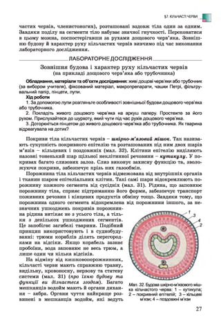§7. КІЛЬЧАСТІ ЧЕРВИ - Е
частих червів, членистоногих), розташовані вздовж тіла один за одним.
Завдяки поділу на сегменти тіло набуває значної гнучкості. Переконатися
в цьому можна, поспостерігавши за рухами дощового черв’яка. Зовніш­
ню будову й характер руху кільчастих червів вивчимо під час виконання
лабораторного дослідження.
__________________ ЛАБОРАТОРНЕ ДОСЛІДЖЕННЯ__________________
Зовнішня будова і характер руху кільчастих червів
(на прикладі дощового черв’яка або трубочника)
Обладнання, матеріали та об’єкти дослідження: живі дощові черв'яки або трубочник
(за вибором учителя), фіксований матеріал, макропрепарати, чашки Петрі, фільтру­
вальний папір, пінцети, лупи.
Хід роботи
1. За допомогою лупи розгляньте особливості зовнішньої будови дощового черв’яка
або трубочника.
2. Покладіть живого дощового черв'яка на аркуш паперу. Простежте за його
рухом. Прислухайтеся до шурхоту, який чути під час рухів дощового черв’яка.
3. Доторкніться пінцетом до живого дощового черв’яка або трубочника. Як тварина
відреагувала на дотик?
Покриви тіла кільчастих червів - шкірно-м’язовий мішок. Так назива­
ють сукупність покривного епітелію та розташованих під ним двох шарів
м’язів - кільцевих і поздовжніх (мал. 32). Клітини епітелію виділяють
назовні тоненький шар щільної неклітинної речовини - кутикулу. У по­
кривах багато слизових залоз. Слиз виконує захисну функцію та, зволо­
жуючи покриви, забезпечує крізь них газообмін.
Порожнина тіла кільчастих червів відмежована від внутрішніх органів
і тканин шаром епітеліальних клітин. Такі самі шари відокремлюють по­
рожнину кожного сегмента від сусідніх (мал. 31). Рідина, що заповнює
порожнину тіла, сприяє підтриманню його форми, забезпечує транспорт
поживних речовин і кінцевих продуктів обміну тощо. Завдяки тому, що
порожнина одного сегмента відокремлена від порожнини іншого, за не­
значних ушкоджень покривів порожнин­
на рідина витікає не з усього тіла, а тіль­
ки з декількох ушкоджених сегментів.
Це запобігає загибелі тварини. Подібний
принцип використовують і в суднобуду­
ванні: трюми кораблів ділять перегород­
ками на відсіки. Якщо корабель зазнає
пробоїни, вода заповнює не весь трюм, а
лише один чи кілька відсіків.
На відміну від кишковопорожнинних,
кільчасті черви мають справжню травну,
видільну, кровоносну, нервову та статеву
системи (мал. 31) (про їхню будову та
функції ви дізнаєтеся згодом). Багато
мешканців водойм мають й органи дихан­
ня - зябра. Органи чуття найкраще роз­
винені в мешканців водойм, які ведуть
Мал. 32. Будова шкірно-м'язового міш­
ка кільчастого черва: 1 - кутикула;
2 - покривний епітелій; 3 - кільцеві
м'язи; 4 - поздовжні м'язи
27
 