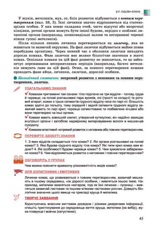 §11. БУДОВА КОМАХ
- Е
У жуків, метеликів, мух, ос, бліх розвиток відбувається з повним пере­
творенням (мал. 58, 2). їхні личинки значно відрізняються від статево­
зрілих особин. У них немає складних очей, часто відсутні або вкорочені
кінцівки, ротові органи можуть бути іншої будови, нерідко є особливі ли­
чинкові органи (наприклад, шовковидільні залози та несправжні черевні
ніжки гусені метеликів).
Після кількох линянь личинка перетворюється на лялечку, яка не
живиться та зазвичай нерухома. На фазі лялечки відбувається майже повна
перебудова організму. Через певний час з оболонки лялечки виходить
доросла комаха. Фаза лялечки має велике біологічне значення в житті
комах. Оскільки комахи на цій фазі розвитку не живляться, то це забез­
печує переживання несприятливих періодів (наприклад, багато метели­
ків зимують саме на цій фазі). Отже, за повного перетворення комахи
проходять фази яйця, личинки, лялечки, дорослої особини.
ф Біологічний словничок: непрямий розвиток з неповним та повним пере­
творенням, лієчка.
^ УЗАГАЛЬНИМО ЗНАННЯ
Комахам притаманні такі ознаки: тіло поділене на три відділи - голову, груди
й черевце; на голові розташовані пара вусиків, очі (прості та складні) та рото­
вий апарат; кожен з трьох сегментів грудного відділу несе по парі ніг; більшість
комах здатні до польоту, тому середній і задній сегменти грудного відділу за­
звичай мають по парі крил; черевце сегментоване та позбавлене кінцівок або
вони перетворені на інші органи.
V Комахи мають зовнішній скелет, утворений кутикулою; він надійно захищає
внутрішні органи і запобігає надмірному випаровуванню вологи в мешканців
суходолу.
у/ Комахам властивий непрямий розвиток з неповним або повним перетворенням.
ПЕРЕВІРТЕ ЗДОБУТІ ЗНАННЯ
1. З яких відділів складається тіло комах? 2. Які органи розташовані на голові
комах? 3. Яка будова грудного відділу тіла комах? Які типи крил комах вам ві­
домі? 4. Які особливості будови черевця комах? 5. Чим зумовлене забарвлен­
ня комах? 6. Чим відрізняються розвиток з неповним і повним перетворенням?
ОБГОВОРІТЬ У ГРУПАХ
Чим можна пояснити вражаючу різноманітність видів комах?
ДЛЯ ДОПИТЛИВИХ І КМІТЛИВИХ
Личинки комах, що розвиваються з повним перетворенням, зазвичай мешка­
ють в іншому середовищі, ніж дорослі особини, і живляться іншою їжею. На­
приклад, метелики живляться нектаром, тоді як їхні личинки - гусениці - жив­
ляться зазвичай листками та іншими м’якими частинами рослин. Доведіть біо­
логічне значення цього явища на прикладі хруща й метелика.
ТВОРЧЕ ЗАВДАННЯ
Користуючись власним життєвим досвідом і різними джерелами інформації,
опишіть пристосування до середовища життя хруща, метелика (на вибір), жу-
ка-плавунця і вовчка (капустянки).
45
 
