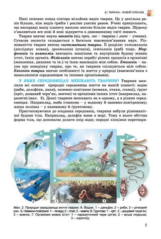 §1. ТВАРИНА-ЖИВИЙ ОРГАНІЗМ о ]
Нині описано понад півтора мільйона видів тварин. Це у декілька ра­
зів більше, ніж видів грибів і рослин узятих разом. Учені припускають,
що насправді нашу планету населяє значно більше видів тварин. Щороку
з’являються все нові й нові відкриття в дивовижному світі живого.
Тварин вивчає наука зоологія (від грец. зоо - тварина і логос - учення).
Сучасна зоологія складається з багатьох взаємопов’язаних наук. Різ­
номаніття тварин вивчає систематика тварин. Її розділи: ентомологія
(досліджує комах), орнітологія (птахів), іхтіологія (риб) тощо. Мор­
фологія та анатомія вивчають зовнішню та внутрішню будову живих
істот, їхніх органів. Фізіологія вивчає перебіг різних процесів в організмі
(живлення, дихання та ін.) та їхню взаємодію між собою. Етологія - на­
ука про поведінку тварин, про те, як тварини спілкуються між собою.
Екологія тварин вивчає особливості їх життя у природі (взаємозв’язки з
навколишнім середовищем та іншими організмами).
У ЯКИХ СЕРЕДОВИЩАХ МЕШКАЮТЬ ТВАРИНИ? Тварини засе­
лили всі основні природні середовища життя на нашій планеті: водне
(риби, дельфіни, раки), наземно-повітряне (комахи, птахи, ссавці), ґрунт
(кріт, дощовий черв’як, вовчок) та організми інших істот (наприклад, па­
разити) (мал. 2). Деякі тварини мешкають не в одному, а в різних серед­
овищах. Наприклад, жаба ставкова - у водному й наземно-повітряному;
миша полівка - у наземному й ґрунтовому.
Пристосовуючися до згаданих середовищ, тварини набули різноманіт­
ної будови тіла. Наприклад, дельфін живе в морі. Тому в нього обтічна
форма тіла, що допомагає долати опір води; передні кінцівки перетвори-
Мал. 2. Природні середовища життя тварин: А. Водне: 1 - дельфін; 2 - риби; 3 - річковий
рак. Б. Наземно-повітряне: 1-гепард;2-гтгах;3-мавпа.В. Ґрунтове: 1—кріт; 2-дощовий черв’як;
З - вовчок. Г. Організми живих істот: 1 - паразитичний черв ціп’як; 2 - воша людська;
З - коропоїд
 