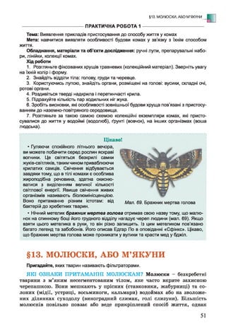 §13. МОЛЮСКИ, АБО М'ЯКУНИ - Е
------------------------------------------ ПРАКТИЧНА РОБОТА 1 -------------------------------------------
Тема: Виявлення прикладів пристосування до способу життя у комах
Мета: навчитися виявляти особливості будови комах у зв’язку з їхнім способом
життя.
Обладнання, матеріали та об’єкти дослідження: ручні лупи, препарувальні набо­
ри, лінійки, колекції комах.
Хід роботи
1. Розгляньте фіксованих хрущів травневих (колекційний матеріал). Зверніть увагу
на їхній колір і форму.
2. Знайдіть відділи тіла: голову, груди та черевце.
3. Користуючись лупою, знайдіть органи, розміщені на голові: вусики, складні очі,
ротові органи.
4. Роздивіться тверді надкрила і перетинчасті крила.
5. Підрахуйте кількість пар ходильних ніг жука.
6. Зробіть висновки, які особливості зовнішньої будови хруща пов’язані з пристосу­
ванням до наземно-повітряного середовища.
7. Розгляньте за такою самою схемою колекційні екземпляри комах, які присто­
сувалися до життя у водоймі (водолюб), ґрунті (вовчок), на інших організмах (воша
людська).
Цікаво!
• Гуляючи спокійного літнього вечора,
ви можете побачити серед рослин яскраві
вогники. Це світяться безкрилі самки
жуків-світляків, таким чином приваблюючи
крилатих самців. Свічення відбувається
завдяки тому, що в тілі комахи є особлива
жироподібна речовина, здатна окисню-
ватися з виділенням великої кількості
світлової енергії. Явище свічення живих
організмів називають біолюмінісценцією.
Воно притаманне різним істотам: від Мал. 69. Бражник мертва голова
бактерій до хребетних тварин.
• Нічний метелик бражник мертва голова отримав свою назву тому, що малю­
нок на спинному боці його грудного відділу нагадує череп людини (мал. 69). Якщо
взяти цього метелика в руки, то він різко запищить, із цим метеликом пов’язано
багато легенд та забобонів. Його описав Едгар По в оповіданні «Сфінкс». Цікаво,
що бражник мертва голова може проникати у вулики та красти мед у бджіл.
§13. МОЛЮСКИ, АБО М’ЯКУНИ
Пригадайте, яких тварин називають фільтраторами.
ЯКІ ОЗНАКИ ПРИТАМАННІ МОЛЮСКАМ? Молюски - безхребетні
тварини з м’яким несегментованим тілом, яке часто вкрите захисною
черепашкою. Вони мешкають у прісних (ставковики, жабурниці) та со­
лоних (мідії, устриці, восьминоги, кальмари) водоймах або на зволоже­
них ділянках суходолу (виноградний слимак, голі слизуни). Більшість
молюсків повільно повзає або веде прикріплений спосіб життя, однак
51
 