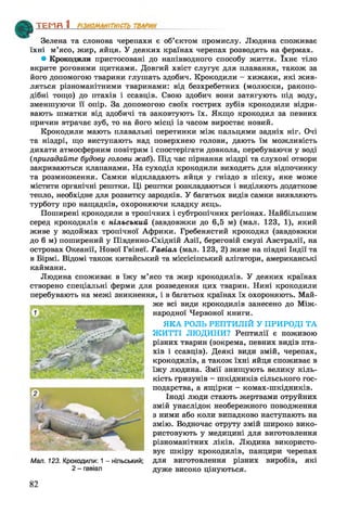 Зелена та слонова черепахи є об’єктом промислу. Людина споживає
їхні м’ясо, жир, яйця. У деяких країнах черепах розводять на фермах.
• Крокодили пристосовані до напівводного способу життя. їхнє тіло
вкрите роговими щитками. Довгий хвіст слугує для плавання, також за
його допомогою тварини глушать здобич. Крокодили —хижаки, які жив­
ляться різноманітними тваринами: від безхребетних (молюски, ракопо­
дібні тощо) до птахів і ссавців. Свою здобич вони затягують під воду,
зменшуючи її опір. За допомогою своїх гострих зубів крокодили відри­
вають шматки від здобичі та заковтують їх. Якщо крокодил за певних
причин втрачає зуб, то на його місці із часом виростає новий.
Крокодили мають плавальні перетинки між пальцями задніх ніг. Очі
та ніздрі, що виступають над поверхнею голови, дають їм можливість
дихати атмосферним повітрям і спостерігати довкола, перебуваючи у воді
(пригадайте будову голови жаб). Під час пірнання ніздрі та слухові отвори
закриваються клапанами. На суходіл крокодили виходять для відпочинку
та розмноження. Самки відкладають яйця у гніздо в піску, яке може
містити органічні рештки. Ці рештки розкладаються і виділяють додаткове
тепло, необхідне для розвитку зародків. У багатьох видів самки виявляють
турботу про нащадків, охороняючи кладку яєць.
Поширені крокодили в тропічних і субтропічних регіонах. Найбільшим
серед крокодилів є нільський (завдовжки до 6,5 м) (мал. 123, 1), який
живе у водоймах тропічної Африки. Гребенястий крокодил (завдовжки
до 6 м) поширений у Південно-Східній Азії, береговій смузі Австралії, на
островах Океанії, Нової Гвінеї. Гавіал (мал. 123, 2) живе на півдні Індії та
в Бірмі. Відомі також китайський та міссісіпський алігатори, американські
каймани.
Людина споживає в їжу м’ясо та жир крокодилів. У деяких країнах
створено спеціальні ферми для розведення цих тварин. Нині крокодили
перебувають на межі зникнення, і в багатьох країнах їх охороняють. Май­
же всі види крокодилів занесено до Між­
народної Червоної книги.
ЯКА РОЛЬ РЕПТИЛІЙ У ПРИРОДІ ТА
ЖИТТІ ЛЮДИНИ? Рептилії є поживою
різних тварин (зокрема, певних видів пта­
хів і ссавців). Деякі види змій, черепах,
крокодилів, а також їхні яйця споживає в
їжу людина. Змії знищують велику кіль­
кість гризунів - шкідників сільського гос­
подарства, а ящірки - комах-шкідників.
Іноді люди стають жертвами отруйних
змій унаслідок необережного поводження
з ними або коли випадково наступають на
змію. Водночас отруту змій широко вико­
ристовують у медицині для виготовлення
різноманітних ліків. Людина використо­
вує шкіру крокодилів, панцири черепах
Мал. 123. Крокодили: 1- нільський; для виготовлення різних виробів, які
2- гавіал дуже високо цінуються.
ТЕМП 1________________
82
 