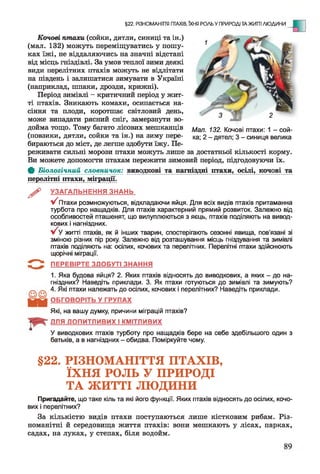 Мал. 132. Кочові птахи: 1 - сой­
ка; 2 - дятел; 3 - синиця велика
Кочові птахи, (сойки, дятли, синиці та ін.)
(мал. 132) можуть переміщуватись у пошу­
ках їжі, не віддаляючись на значні відстані
від місць гніздівлі. За умов теплої зими деякі
види перелітних птахів можуть не відлітати
на південь і залишатися зимувати в Україні
(наприклад, шпаки, дрозди, крижні).
Період зимівлі - критичний період у жит­
ті птахів. Зникають комахи, осипається на­
сіння та плоди, коротшає світловий день,
може випадати рясний сніг, замерзнути во­
дойма тощо. Тому багато лісових мешканців
(повзики, дятли, сойки та ін.) на зиму пере­
бираються до міст, де легше здобути їжу. Пе­
реживати сильні морози птахи можуть лише за достатньої кількості корму.
Ви можете допомогти птахам пережити зимовий період, підгодовуючи їх.
Ф Біологічний словничок: виводкові та наїтаздні птахи, осілі, кочові та
перелітні птахи, міграції.
^ УЗАГАЛЬНЕННЯ ЗНАНЬ
у/ Птахи розмножуються, відкладаючи яйця. Для всіх видів птахів притаманна
турбота про нащадків. Для птахів характерний прямий розвиток. Залежно від
особливостей пташенят, що вилуплюються з яєць, птахів поділяють на вивод­
кових і нагніздних.
V У житті птахів, як й інших тварин, спостерігають сезонні явища, пов'язані зі
зміною різних пір року. Залежно від розташування місць гніздування та зимівлі
птахів поділяють на: осілих, кочових та перелітних. Перелітні птахи здійснюють
щорічні міграції.
5 ""^ ПЕРЕВІРТЕ ЗДОБУТІ ЗНАННЯ
1. Яка будова яйця? 2. Яких птахів відносять до виводкових, а яких - до на­
гніздних? Наведіть приклади. 3. Як птахи готуються до зимівлі та зимують?
4. Які птахи належать до осілих, кочових і перелітних? Наведіть приклади.
ОБГОВОРІТЬ У ГРУПАХ
Які, на вашу думку, причини міграцій птахів?
ДЛЯ ДОПИТЛИВИХ І КМІТЛИВИХ
У виводкових птахів турботу про нащадків бере на себе здебільшого один з
батьків, а в нагніздних - обидва. Поміркуйте чому.
§22. РІЗНОМАНІТТЯ ПТАХІВ, ЇХНЯ РОЛЬ У ПРИРОДІ ТА ЖИТТІ ЛЮДИНИ
§22. РІЗНОМАНІТТЯ ПТАХІВ,
ЇХНЯ РОЛЬ У ПРИРОДІ
ТА ЖИТТІ ЛЮДИНИ
Пригадайте, що таке кіль та які його функції. Яких птахів відносять до осілих, кочо­
вих і перелітних?
За кількістю видів птахи поступаються лише кістковим рибам. Різ­
номанітні й середовища життя птахів: вони мешкають у лісах, парках,
садах, на луках, у степах, біля водойм.
 