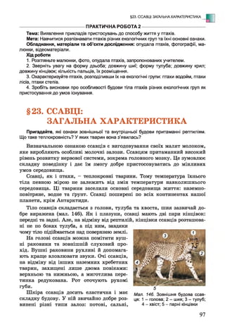 §23. ССАВЦІ: ЗАГАЛЬНА ХАРАКТЕРИСТИКА - Е
ПРАКТИЧНА РОБОТА2 --------------------------------------------
Тема: Виявлення прикладів пристосувань до способу життя у птахів.
Мета: Навчитися розпізнавати птахів різних екологічних груп та їхні основні ознаки.
Обладнання, матеріали та об’єкти дослідження: опудала птахів, фотографії, ма­
люнки, відеоматеріали.
Хід роботи
1. Розгляньте малюнки, фото, опудала птахів, запропонованих учителем.
2. Зверніть увагу на форму дзьоба; довжину шиї; форму тулуба; довжину крил;
довжину кінцівок; кількість пальців, їх розміщення.
3. Охарактеризуйте птахів, розподіливши їх на екологічні групи: птахи водойм, птахи
лісів, птахи степів.
4. Зробіть висновки про особливості будови тіла птахів різних екологічних груп як
пристосування до умов існування.
§23. ССАВЦІ:
ЗАГАЛЬНА ХАРАКТЕРИСТИКА
Пригадайте, які ознаки зовнішньої та внутрішньої будови притаманні рептиліям.
Що таке теплокровність? У яких тварин вона з’явилась?
Визначальною ознакою ссавців є вигодовування своїх малят молоком,
яке виробляють особливі молочні залози. Ссавцям притаманний високий
рівень розвитку нервової системи, зокрема головного мозку. Це зумовлює
складну поведінку і дає їм змогу добре пристосовуватись до мінливих
умов середовища.
Ссавці, як і птахи, - теплокровні тварини. Тому температура їхнього
тіла певною мірою не залежить від змін температури навколишнього
середовища. Ці тварини заселили основні середовища життя: наземно-
повітряне, водне та ґрунт. Ссавці поширені по всіх континентах нашої
планети, крім Антарктиди.
Тіло ссавців складається з голови, тулуба та хвоста, шия зазвичай до­
бре виражена (мал. 146). Як і плазуни, ссавці мають дві пари кінцівок:
передні та задні. Але, на відміну від рептилій, кінцівки ссавців розташова­
ні не по боках тулуба, а під ним, завдяки
чому тіло підіймається над поверхнею землі.
На голові ссавців можна помітити вуш­
ні раковини та зовнішній слуховий про­
хід. Вушні раковини рухливі й допомага­
ють краще вловлювати звуки. Очі ссавців,
на відміну від інших наземних хребетних
тварин, захищені лише двома повіками:
верхньою та нижньою, а миготлива пере­
тинка редукована. Рот оточують рухомі
губи.
Шкіра ссавців досить еластична і має
складну будову. У ній звичайно добре роз­
винені різні типи залоз: потові, сальні,
5
Мал. 146. Зовнішня будова ссав­
ця: 1 - голова; 2 - шия; 3 - тулуб;
4 - хвіст; 5 - парні кінцівки
97
 