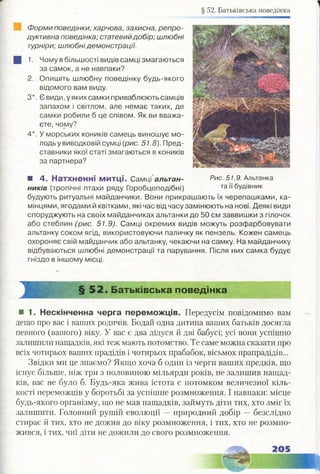 § 52. Батьківська поведінка
Форми поведінки; харчова, захисна, репро­
дуктивна поведінка; статевийдобір; шлюбні
турніри; шлюбні демонстрації.
1. Чому в більшості видів самці змагаються
за самок, а не навпаки?
2. Опишіть шлюбну поведінку будь-якого
відомого вам виду.
З*. Є види, у яких самки приваблюють самців
запахом і світлом, але немає таких, де
самки робили б це співом. Як ви вважа­
єте, чому?
4*. У морських коників самець виношує мо­
лодь у виводковій сумці (рис. 51.8). Пред­
ставники якої статі змагаються в коників
за партнера?
■ 4. Натхненні МИТЦІ. Самці альтан-
ників (тропічні птахи ряду Горобцеподібні)
будують ритуальні майданчики. Вони прикрашають їх черепашками, ка­
мінцями, ягодами й квітками, які час від часу замінюють на нові. Деякі види
споруджують на своїх майданчиках альтанки до 50 см заввишки з гілочок
або стеблин (рис. 51.9). Самці окремих видів можуть розфарбовувати
альтанку соком ягід, використовуючи паличку як пензель. Кожен самець
охороняє свій майданчик або альтанку, чекаючи на самку. На майданчику
відбуваються шлюбні демонстрації та парування. Після них самка будує
гніздо в іншому місці.
§ 52. Батьківська поведінка
■ 1. Нескінченна черга переможців. Передусім повідомимо вам
дещо про вас і ваших родичів. Бодай одна дитина ваших батьків досягла
певного (вашого) віку. У вас є два дідуся й дві бабусі; усі вони успішно
залишили нащадків, які теж мають потомство. Те саме можна сказати про
всіх чотирьох ваших прадідів і чотирьох прабабок, вісьмох прапрадідів...
Звідки ми це знаємо? Якщо хоча б один із черги ваших предків, що
існує більше, ніж три з половиною мільярди років, не залишив нащад­
ків, вас не було б. Будь-яка жива істота є потомком величезної кіль­
кості переможців у боротьбі за успішне розмноження. І навпаки: місце
будь-якого організму, що не мав нащадків, займуть діти тих, хто зміг їх
залишити. Головний рушій еволюції —природний добір —безслідно
стирає й тих, хто не дожив до віку розмноження, і тих, хто не розмно­
жився, і тих, чиї діти не дожили до свого розмноження.
Рис. 51.9. Альтанка
та її будівник
 