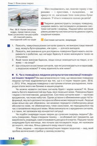 Тема 3. Поведінка тварин
Ми сподіваємось, що, маючи справу з тва­
ринами — і простими, і складними, — ви
врахуєте те, наскільки їхня поведінка буває
цікавою. Учіться поважати наших родичів!
|3 Тварини демонструють складну поведінку,
зокрема вміють застосовувати розвинені сис­
теми сигналів і знарядь. Надзвичайно високий
рівень розвитку систем сигналів демонструють
соціальні комахи.
Системи сигналів; знаряддя.
Щ 1. Поясніть, чому кілька різних сигналів тривоги, які використовує певний
вид, можуть бути кращими, ніж один, — для всіх випадків.
2. Поясніть, яке значення для досліджень поведінки бджіл мають експе­
рименти з роботом, що нагадує бджолу й може виконувати танок на
стільниках.
3. Який танок виконає бджола, якщо сонце знаходиться на півдні, а по­
жива — на сході?
4*. Що спільного в системах сигналів, про які розповідається в параграфі,
з людською мовою? У чому відмінність між ними?
■ 4. Чи є поведінка людини результатом еволюції поведін­
ки інших тварин? Ви вже впевнилися в тому, що механізми поведінки
людини суттєво відрізняються від тих, що є в інших тварин (рис. 50.6,
с. 201). Утім, людська поведінка є наступним етапом ускладнення, попе­
редні етапи якого ми бачимо в наших родичів.
Чи можна назвати системи сигналів бджіл і мурах мовою? Ні. Вони
мають багато відмінностей від будь-якої людської мови. Поведінка бджіл
і мурах є інстинктивною, уродженою. Система сигналів мавп — частково
вродженою, частково набутою. Однак усі вони є обмеженими щодо тієї ін­
формації, яку за їх допомогою одна особина може передати іншій. Людські
мови вільні від цих обмежень: ми можемо передати співбесіднику дещо
абсолютно нове, не обмежуючись тими смислами, які передавалися під
час становлення людської мови. Мова виникала не з вроджених сигналів,
а з таких, які залежали від конкретної ситуації.
Чи подібні знаряддя інших тварин до сучасних знарядь людини? Д о­
сить поверхово. Люди створили техніку — особливий світ предметів, що
виробляють знаряддя, самі споживають ресурси й енергію. Першим таким
знаряддям було вогнище, яке почали застосовувати люди, які належали
до іншого, ніж наш, більш давнього виду нашого роду.
Отже, людина — наслідок еволюції інших тварин і водночас — вид, який
зробив величезний стрибок у своєму розвитку.
Рис. 56.8. Калан (морська
видра, представник ряду
Хижі) розколює панцир краба
об плаский камінь,
покладений собі на груди
 