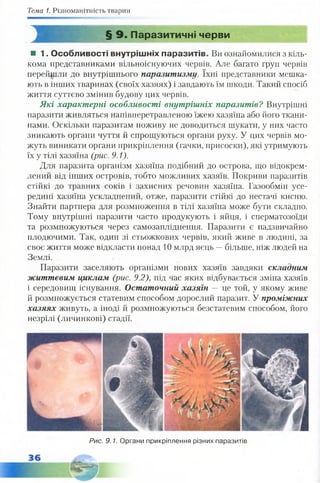 Тема 1. Різноманітність тварин
§ 9 . Паразитичні черви
■ 1. Особливості внутрішніх паразитів. Ви ознайомилися з кіль­
кома представниками вільноіснуючих червів. Але багато груп червів
перейшли до внутрішнього паразитизму. їхні представники мешка­
ють в інших тваринах (своїх хазяях) і завдають їм шкоди. Такий спосіб
життя суттєво змінив будову цих червів.
Які характерні особливості внутрішніх паразитів? Внутрішні
паразити живляться напівперетравленою їжею хазяїна або його ткани­
нами. Оскільки паразитам поживу не доводиться шукати, у них часто
зникають органи чуття й спрощуються органи руху. У цих червів мо­
жуть виникати органи прикріплення (гачки, присоски), які утримують
їх у тілі хазяїна (рис. 9.1).
Для паразита організм хазяїна подібний до острова, що відокрем­
лений від інших островів, тобто можливих хазяїв. Покриви паразитів
стійкі до травних соків і захисних речовин хазяїна. Газообмін усе­
редині хазяїна ускладнений, отже, паразити стійкі до нестачі кисню.
Знайти партнера для розмноження в тілі хазяїна може бути складно.
Тому внутрішні паразити часто продукують і яйця, і сперматозоїди
та розмножуються через самозапліднення. Паразити є надзвичайно
плодючими. Так, один зі стьожкових червів, який живе в людині, за
своє життя може відкласти понад 10 млрд яєць —більше, ніж людей на
Землі.
Паразити заселяють організми нових хазяїв завдяки складним
життєвим циклам (рис. 9.2), під час яких відбувається зміна хазяїв
і середовищ існування. Остаточний хазяїн — це той, у якому живе
й розмножується статевим способом дорослий паразит. У проміжних
хазяях живуть, а іноді й розмножуються безстатевим способом, його
незрілі (личинкові) стадії.
Рис. 9.1. Органи прикріплення різних паразитів
 