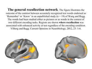 The general recollection network. The figure illustrates the
outcome of the contrast between accurately recognized test words endorsed as
‘Remember’ or ‘Know’ in an unpublished study (n = 19) of Wang and Rugg.
The words had been studied either as pictures or as words in the context of
two different encoding tasks. Regions are shown where recollection was
associated with enhanced activity at test regardless of the encoding condition.
Vilberg and Rugg. Current Opinions in Neurobiology, 2012, 23: 1-6.
 