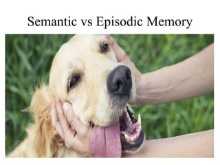 Semantic vs Episodic Memory
 