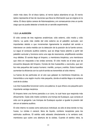 visión más clara. En el disco óptico, el nervio óptico abandona el ojo. El nervio
óptico representa el haz de neuronas que lleva la información que se origina en la
retina. El disco óptico carece de fotorreceptores y en consecuencia crea un punto
ciego que se puede detectar a través de un sencillo experimento.



1.3.2. LA AUDICIÓN

El oído consta de tres regiones anatómicas: oído externo, oído medio y oído
interno. La parte más visible del oído externo es el pabellón auricular; son
importantes debido a que incrementan ligeramente la amplitud del sonido e
intervienen en cierta medida con la detección de la posición de la fuente sonora.
Le sigue el conducto auditivo externo, que se dirige hacia adentro a partir del
pabellón auricular y funciona como una caja de resonancia, amplificando sonidos
muy débiles. El sonido llega al tímpano, o membrana timpánica, una membrana
que vibra en respuesta a las ondas sonoras. El oído medio es el área que se
encuentra después del tímpano. Consta de tres huesecillos u oscículos, que son
los más pequeños del cuerpo humano: martillo, yunque y estribo. Estos huesillos
aumentan la eficiencia con la cual el sonido es transmitido al oído interno:

La fuerza de las partículas en el aire que golpean la membrana timpánica, es
transmitida a una región mucho más pequeña, donde el estribo llega a la ventana
oval de la cóclea.

Los tres huesecillos funcionan como una palanca, lo que ofrece una pequeña pero
importante ventaja mecánica.

El tímpano tiene una forma parecida a un cono, la cual hace que responda más
eficazmente. Cada oído medio contiene una trompa de Eustaquio, que conecta al
oído con la garganta. Las trompas de Eustaquio ayudan a igualar la presión del
aire en el sistema auditivo.

El oído interno no existe como estructura individual, es sólo el área donde no hay
hueso. La cóclea ó caracol, llena de líquido, contiene receptores para los
estímulos auditivos. El estribo está adosado directamente a la ventana oval,
membrana que cubre una abertura de la cóclea. Cuando el estribo vibra, la


                                         13
 